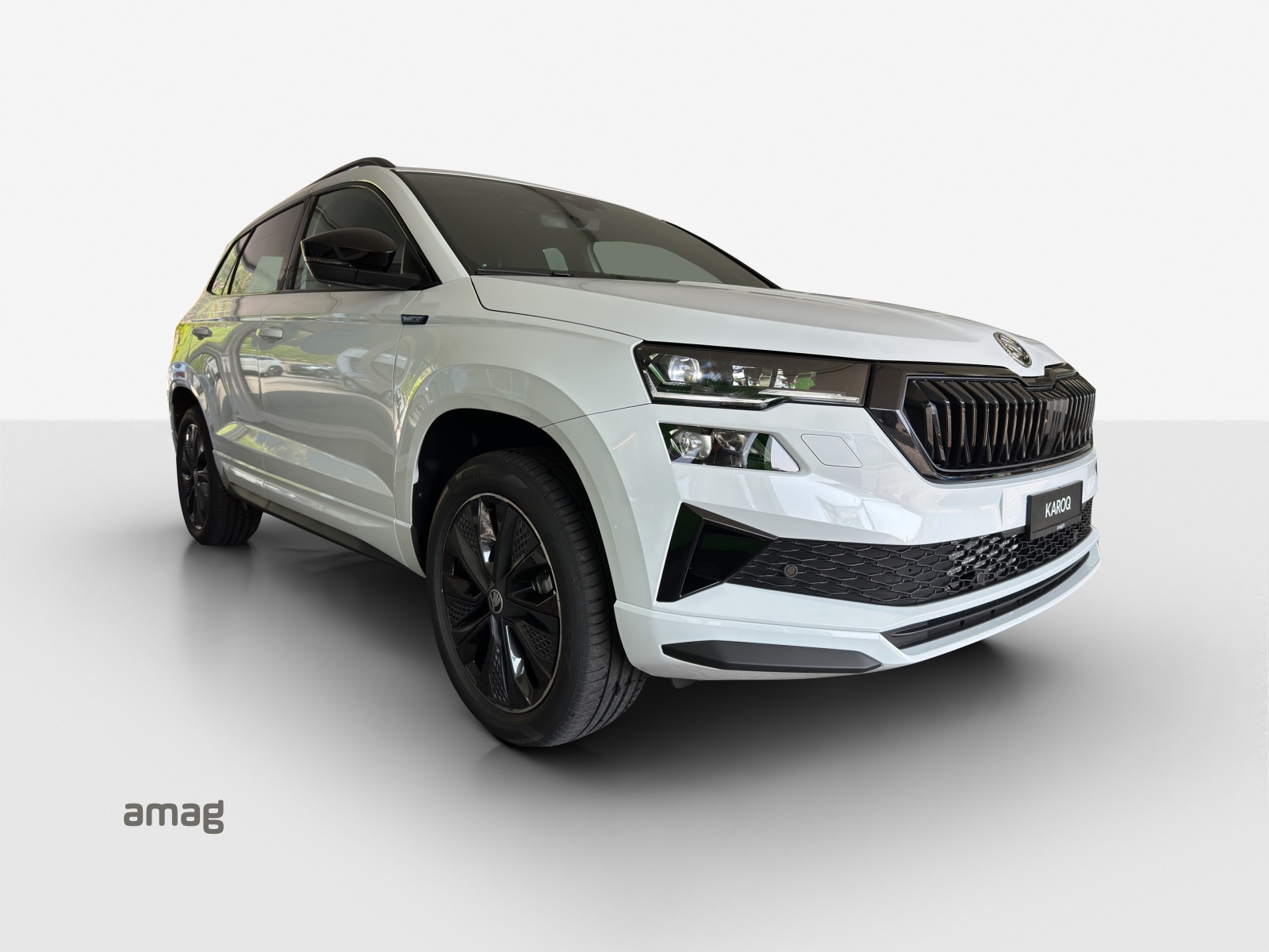 SKODA Karoq 2.0 TSI SportLine 4x4 DSG-image-5