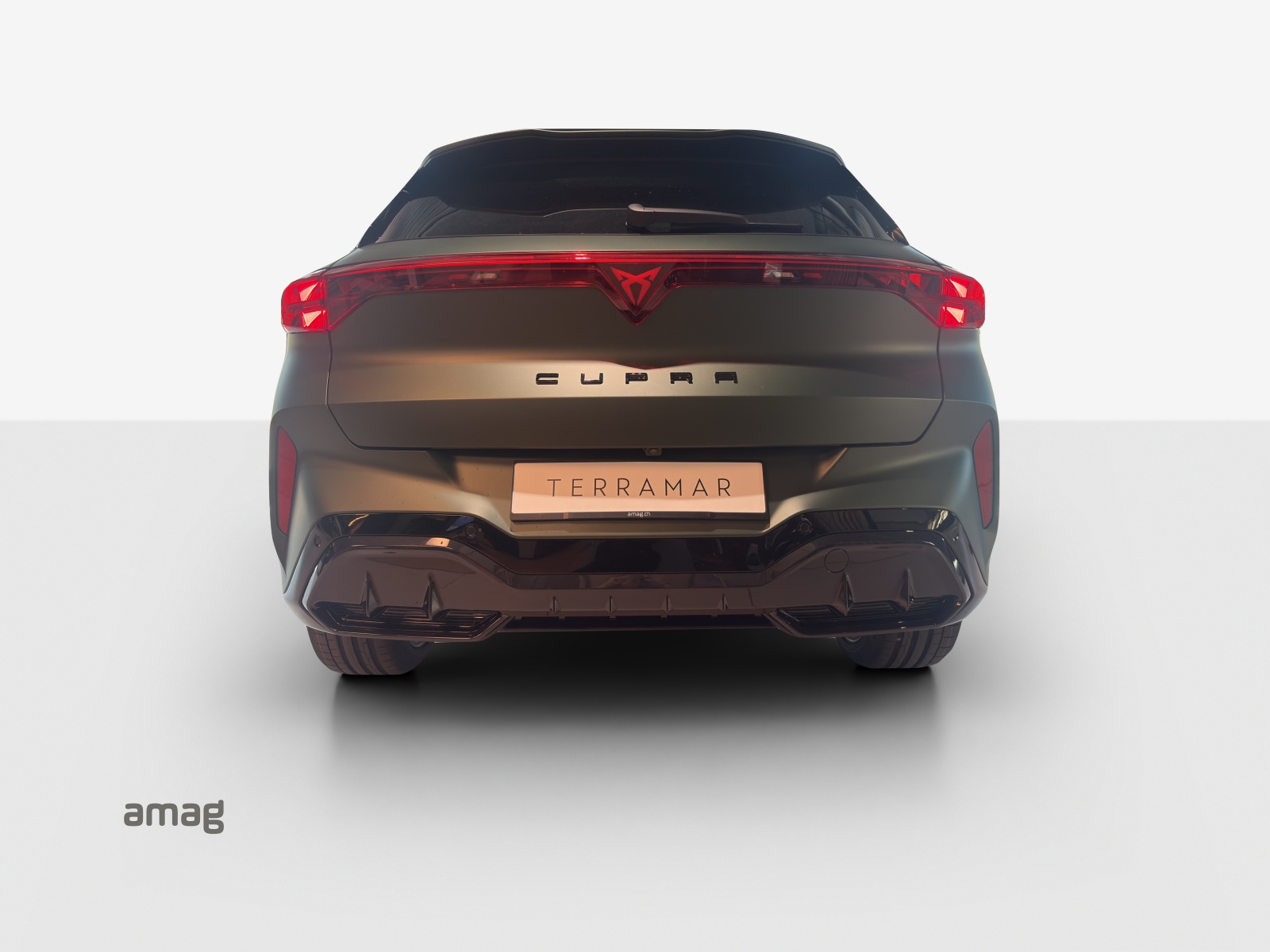 CUPRA Terramar 2.0 TSI DSG 4Drive VZ-image-3