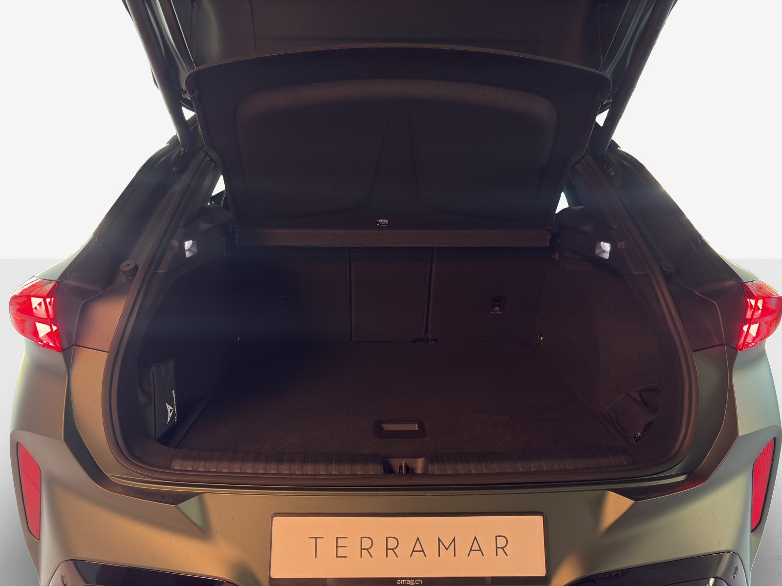 CUPRA Terramar 2.0 TSI DSG 4Drive VZ-image-12