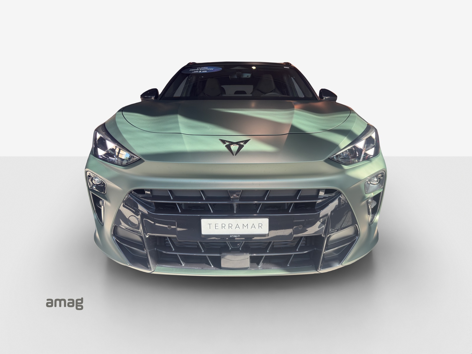 CUPRA Terramar 2.0 TSI DSG 4Drive VZ-image-6