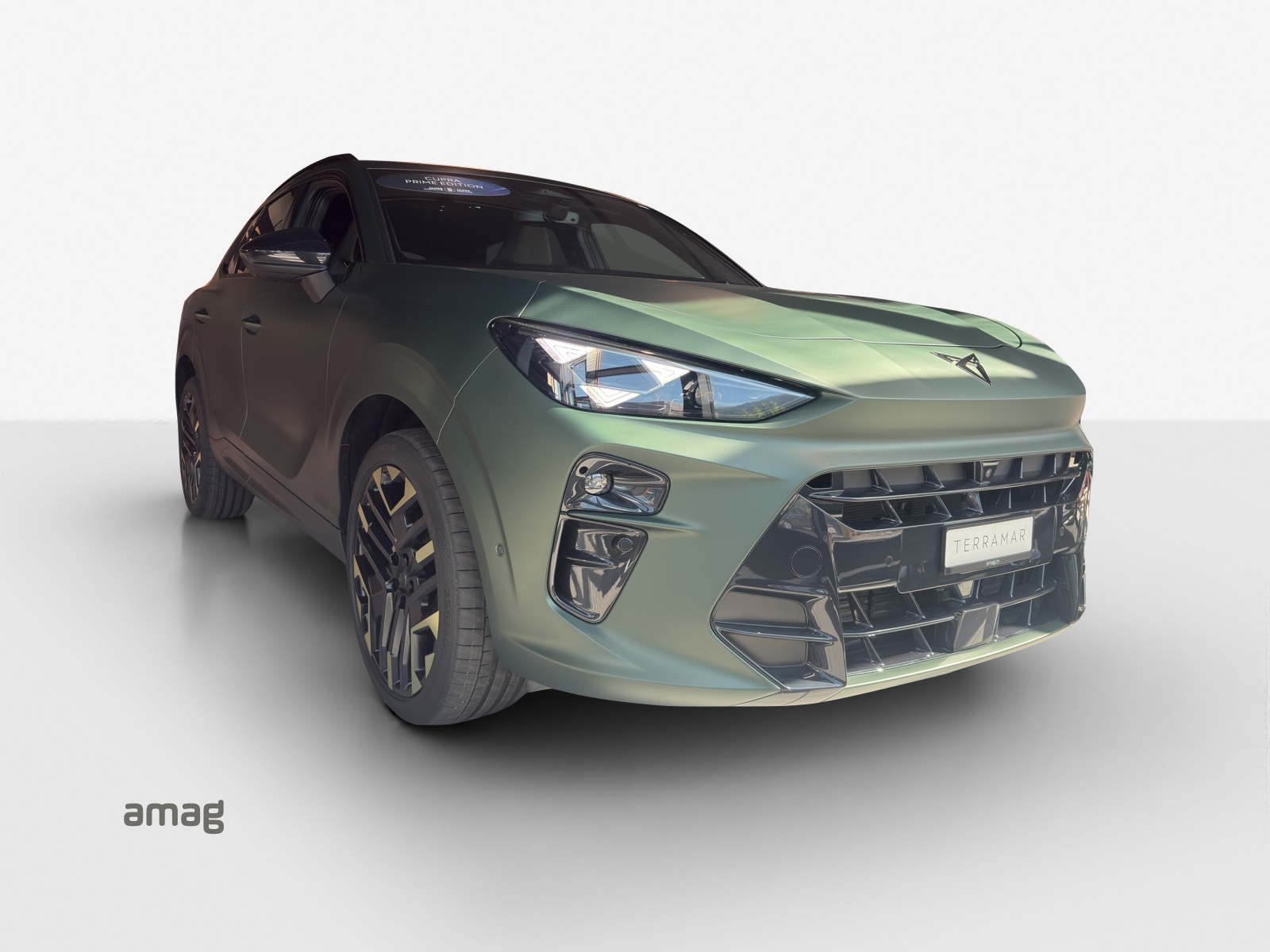 CUPRA Terramar 2.0 TSI DSG 4Drive VZ-image-5