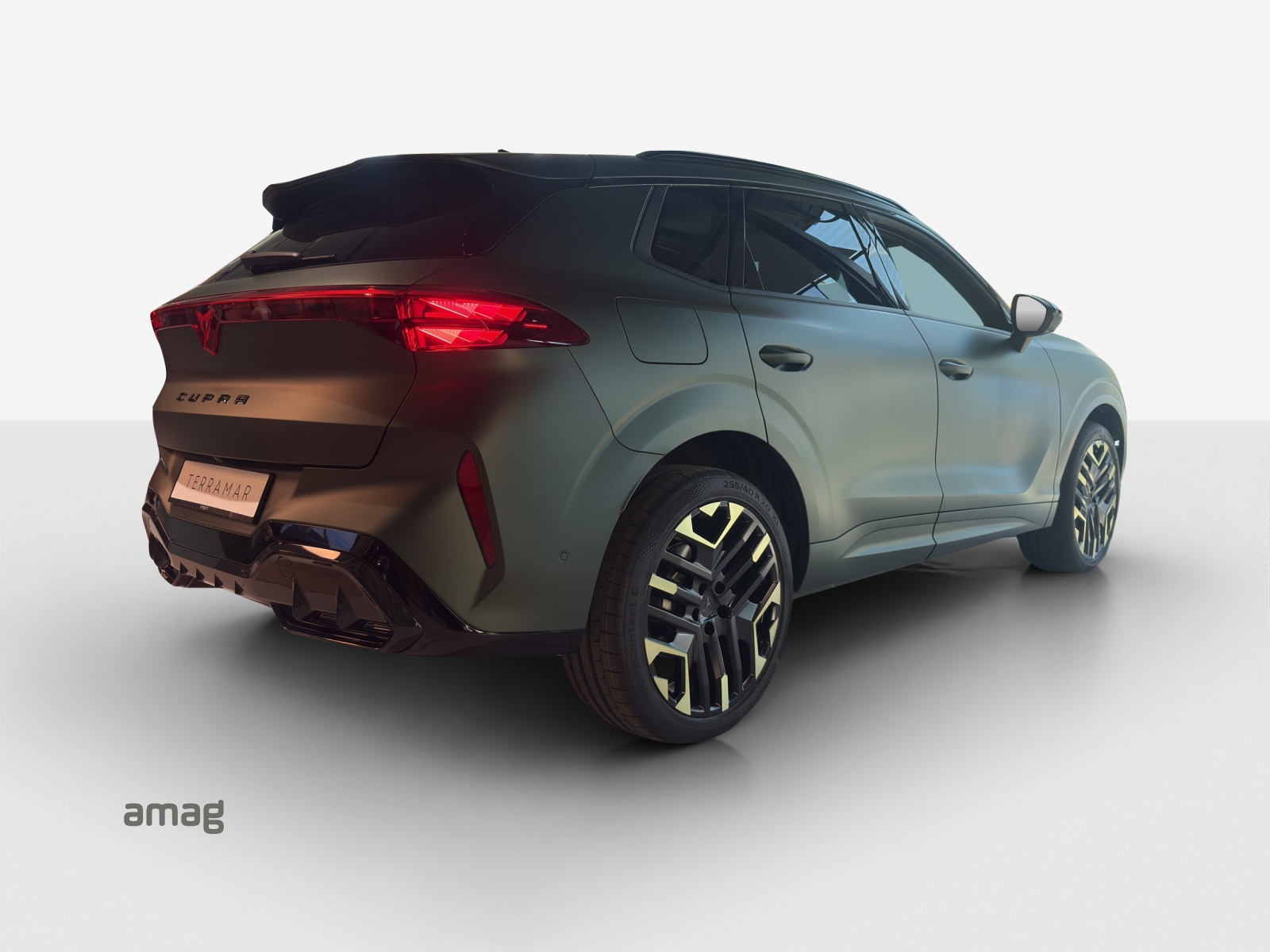 CUPRA Terramar 2.0 TSI DSG 4Drive VZ-image-4