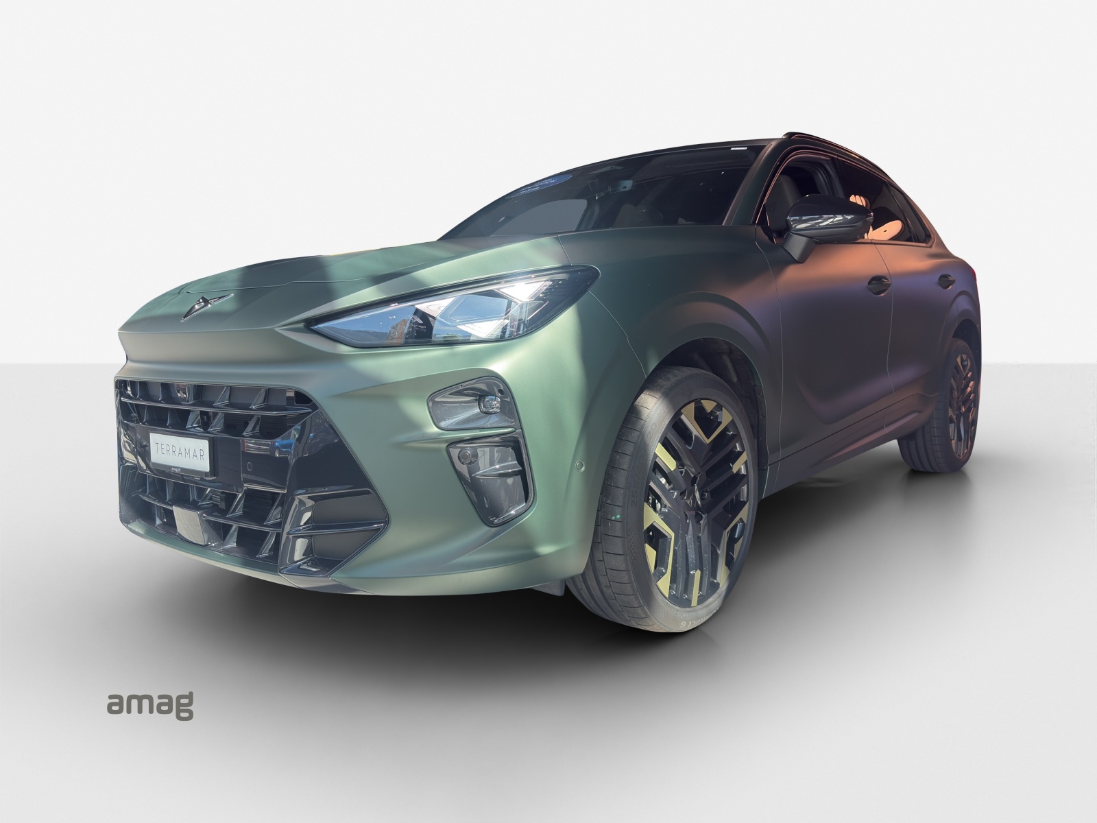 CUPRA Terramar 2.0 TSI DSG 4Drive VZ-image-0