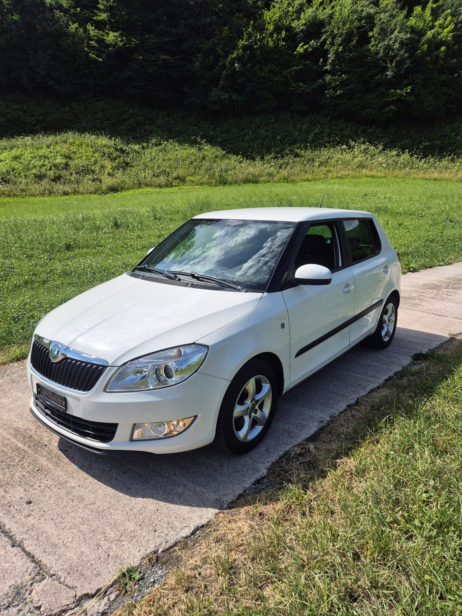SKODA Fabia 1.2 TSI Family-image-1