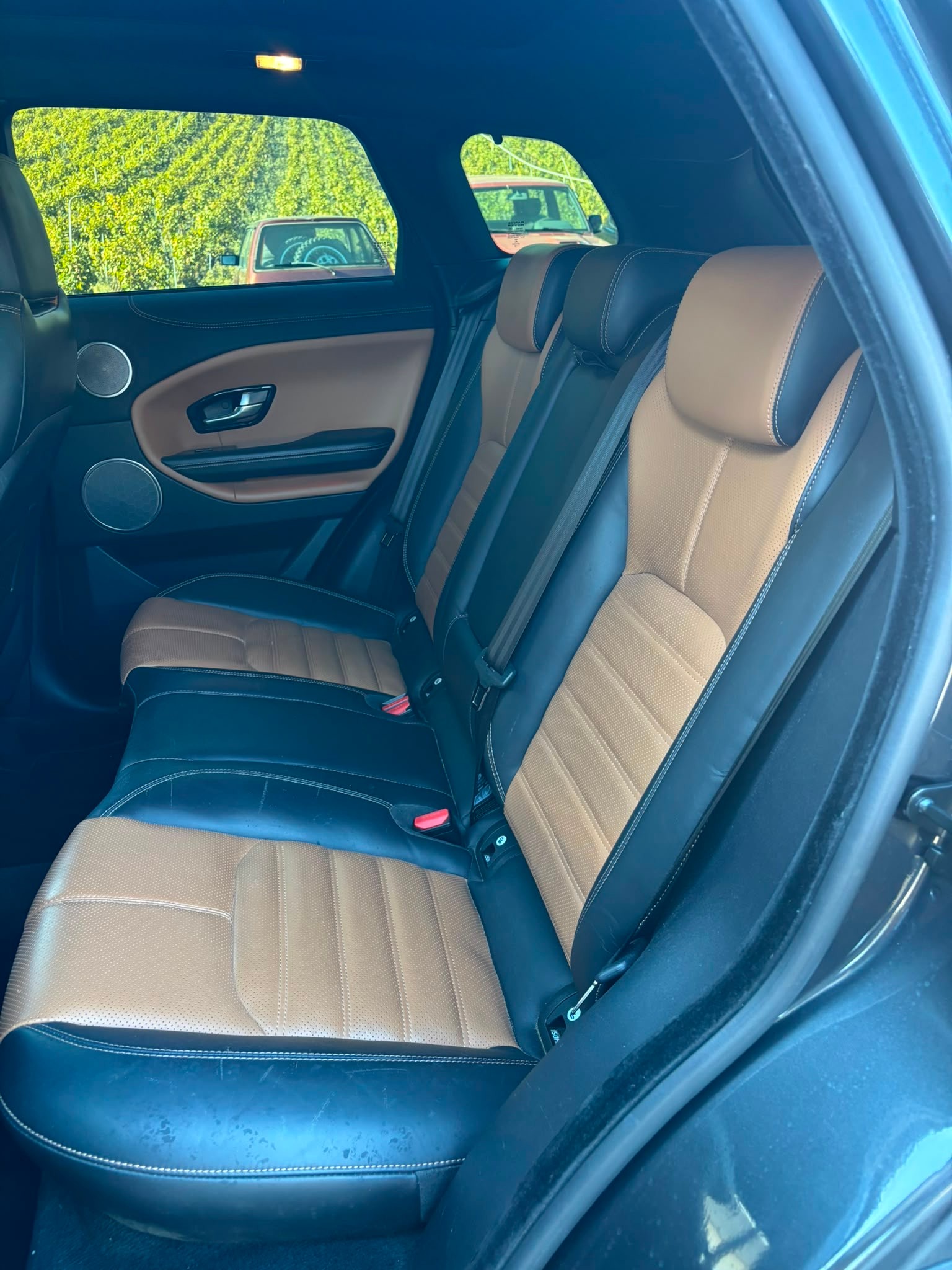 LAND ROVER Range Rover Evoque 2.0 TD4 SE Dynamic AT9-image-8