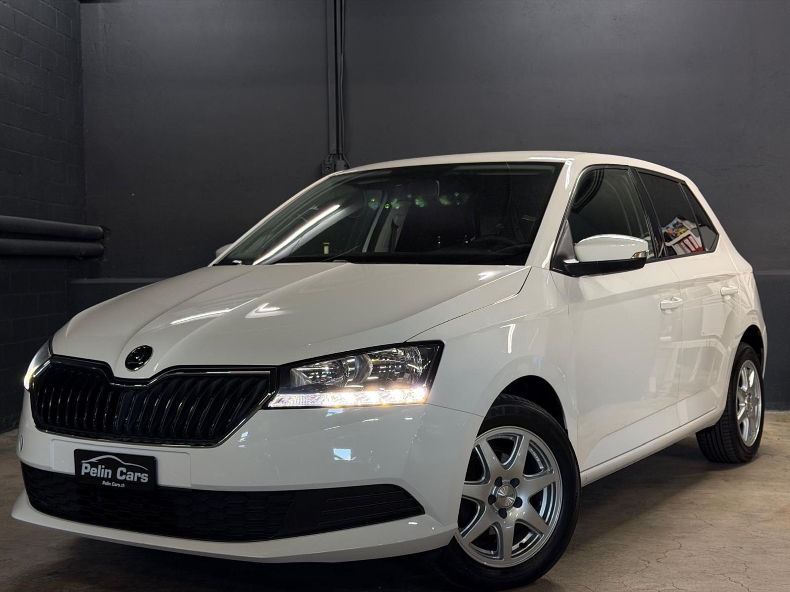 SKODA Fabia 1.0 MPI Ambition White Edition Frisch ab MFK & Frisch ab Service-image-1