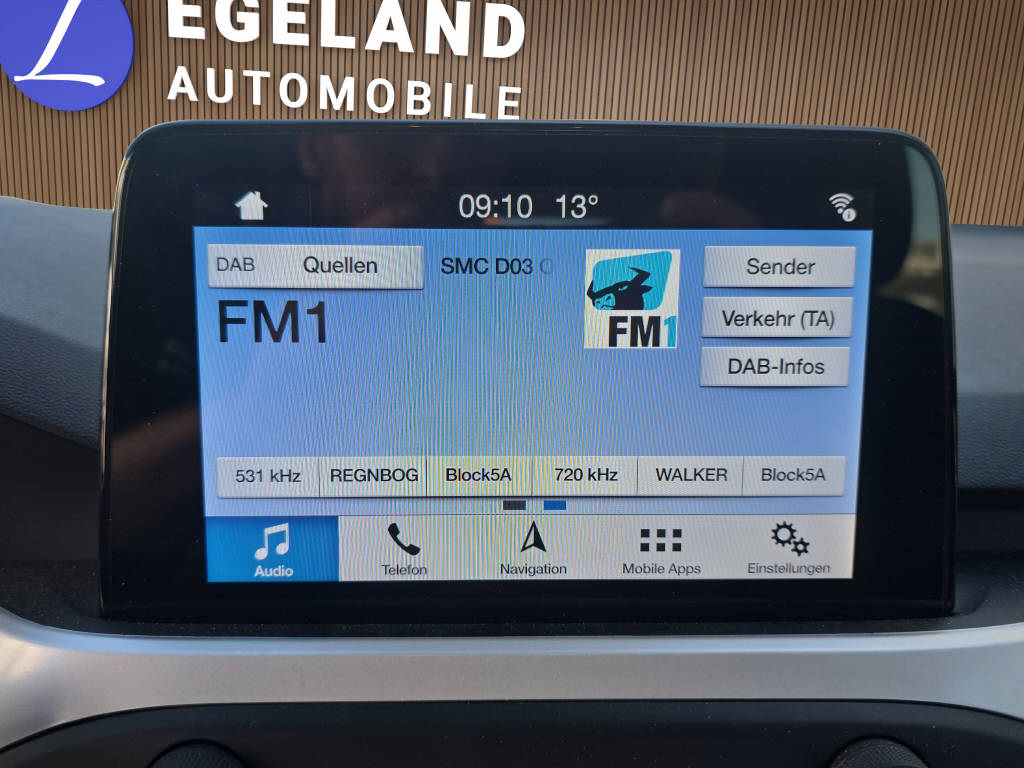 FORD Focus Station Wagon 1.0i EcoB 100 Business-image-19