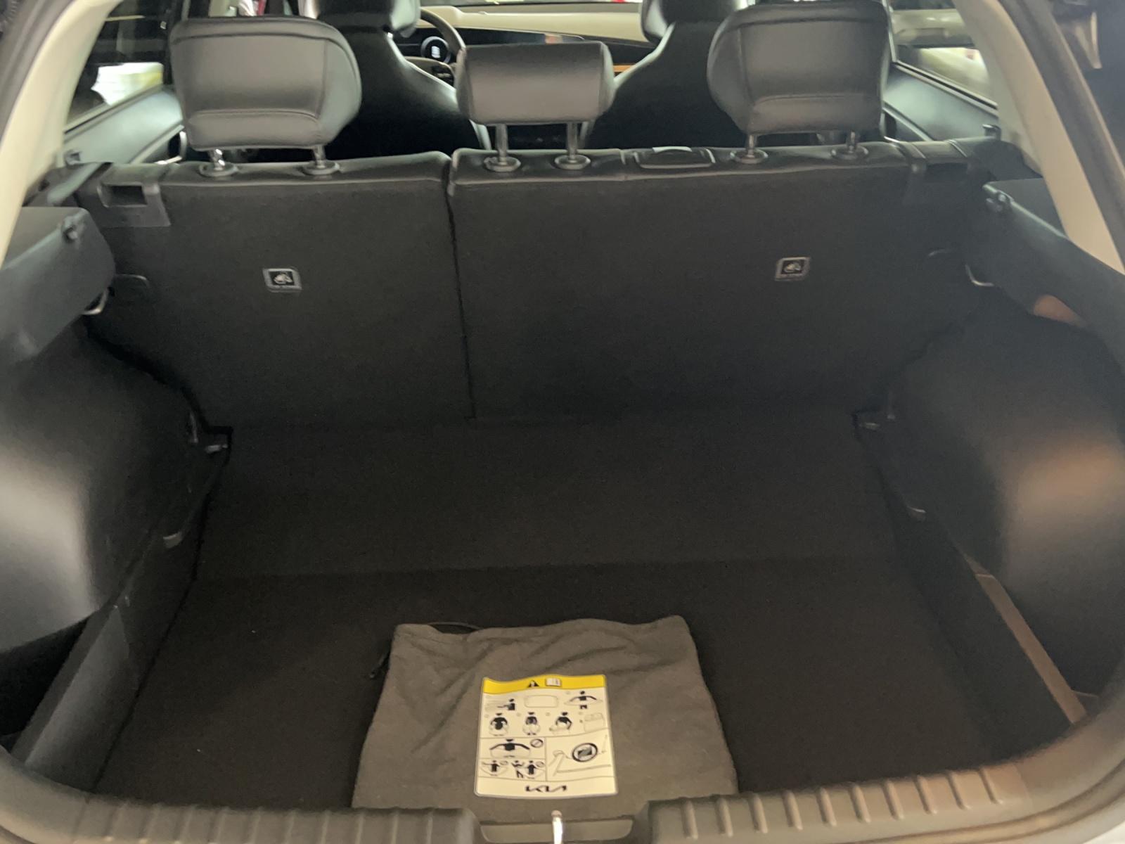 KIA Niro EV Power Edition-image-6