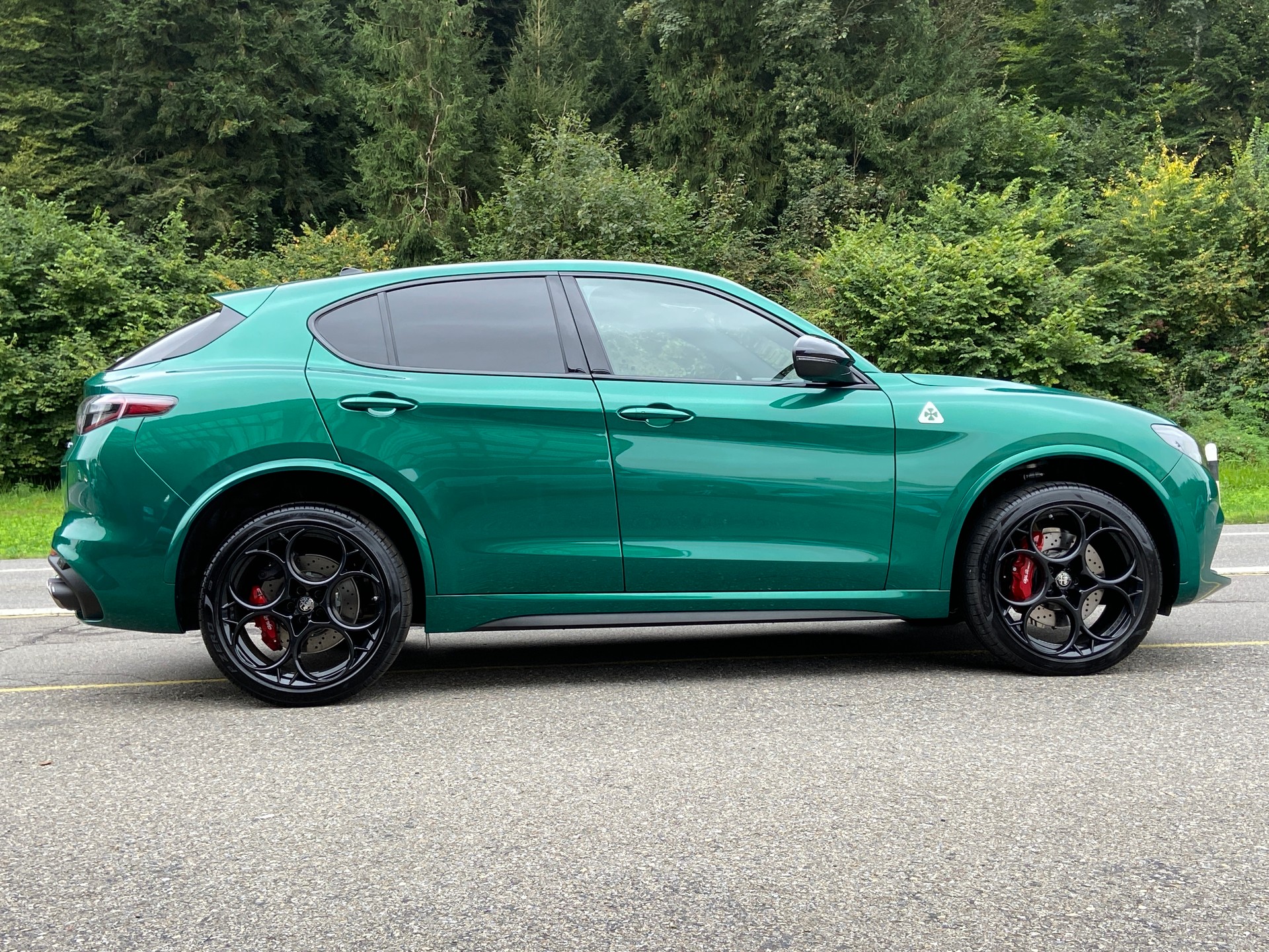 ALFA ROMEO Stelvio 2.9 V6 Quadrifoglio Sparco Sky Q4 AT8-image-25