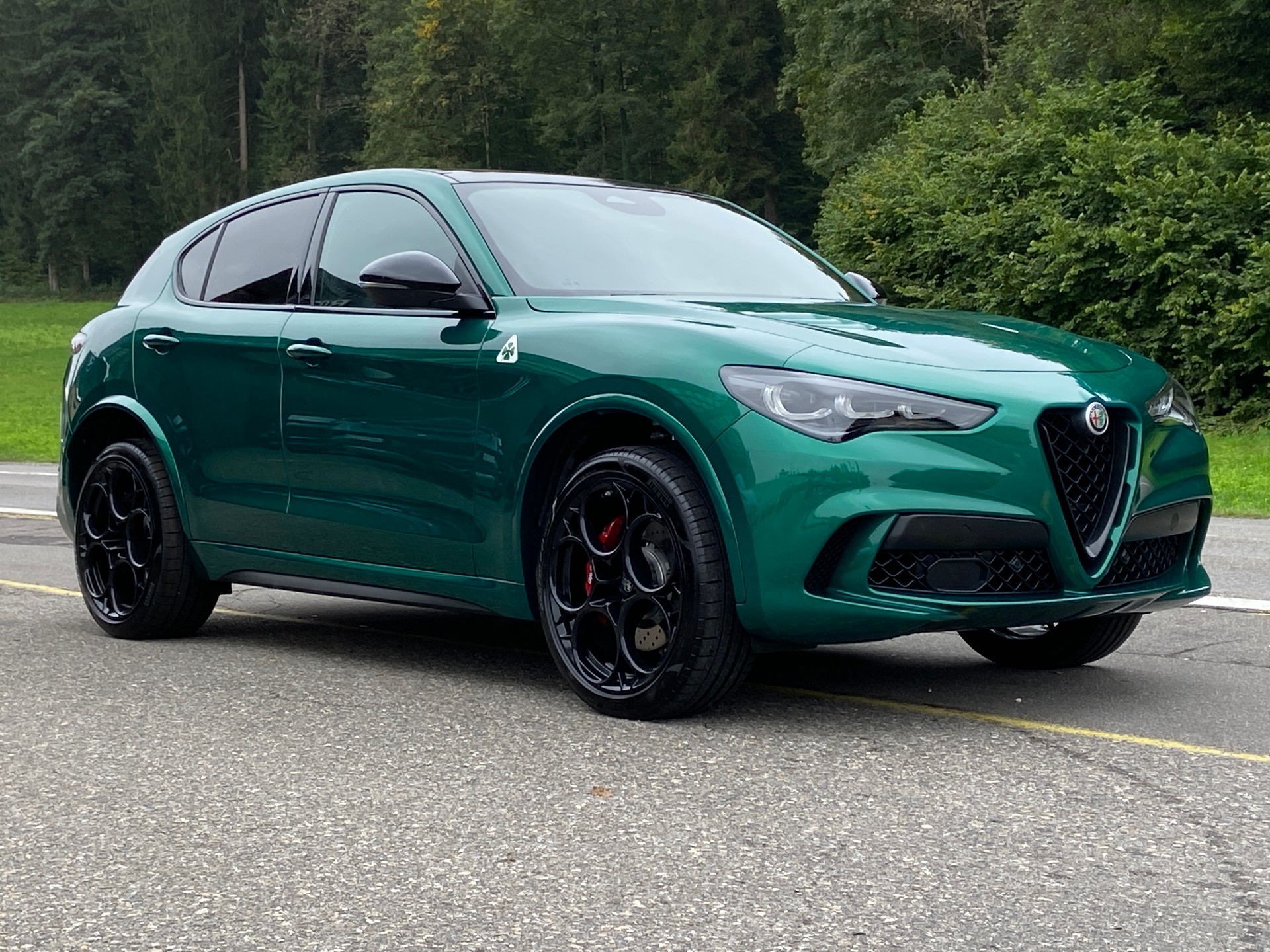 ALFA ROMEO Stelvio 2.9 V6 Quadrifoglio Sparco Sky Q4 AT8-image-24