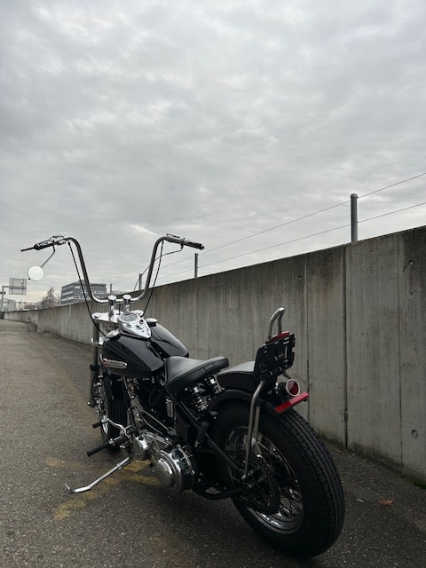 HARLEY-DAVIDSON FLH-image-5