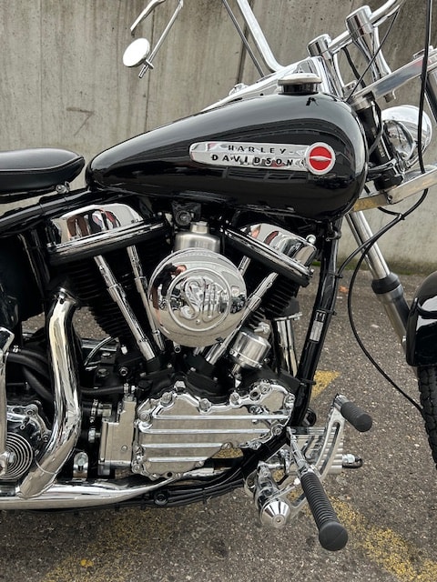 HARLEY-DAVIDSON FLH-image-6