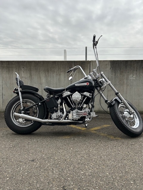 HARLEY-DAVIDSON FLH