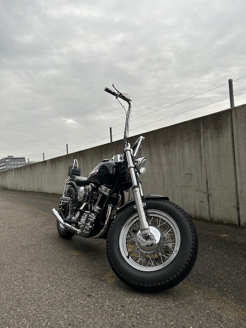 HARLEY-DAVIDSON FLH-image-1