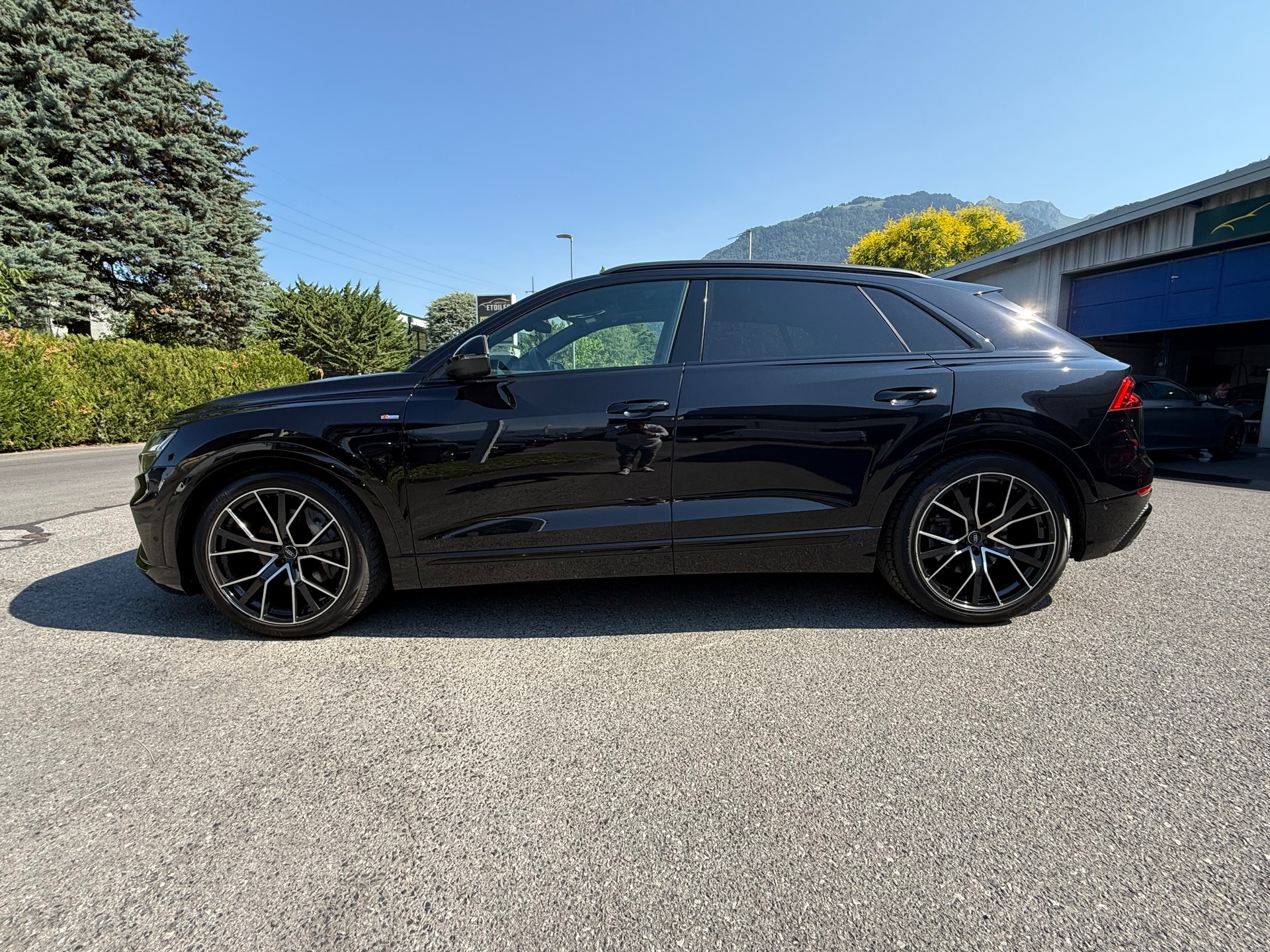 AUDI Q8 50 TDI quattro tiptronic-image-10