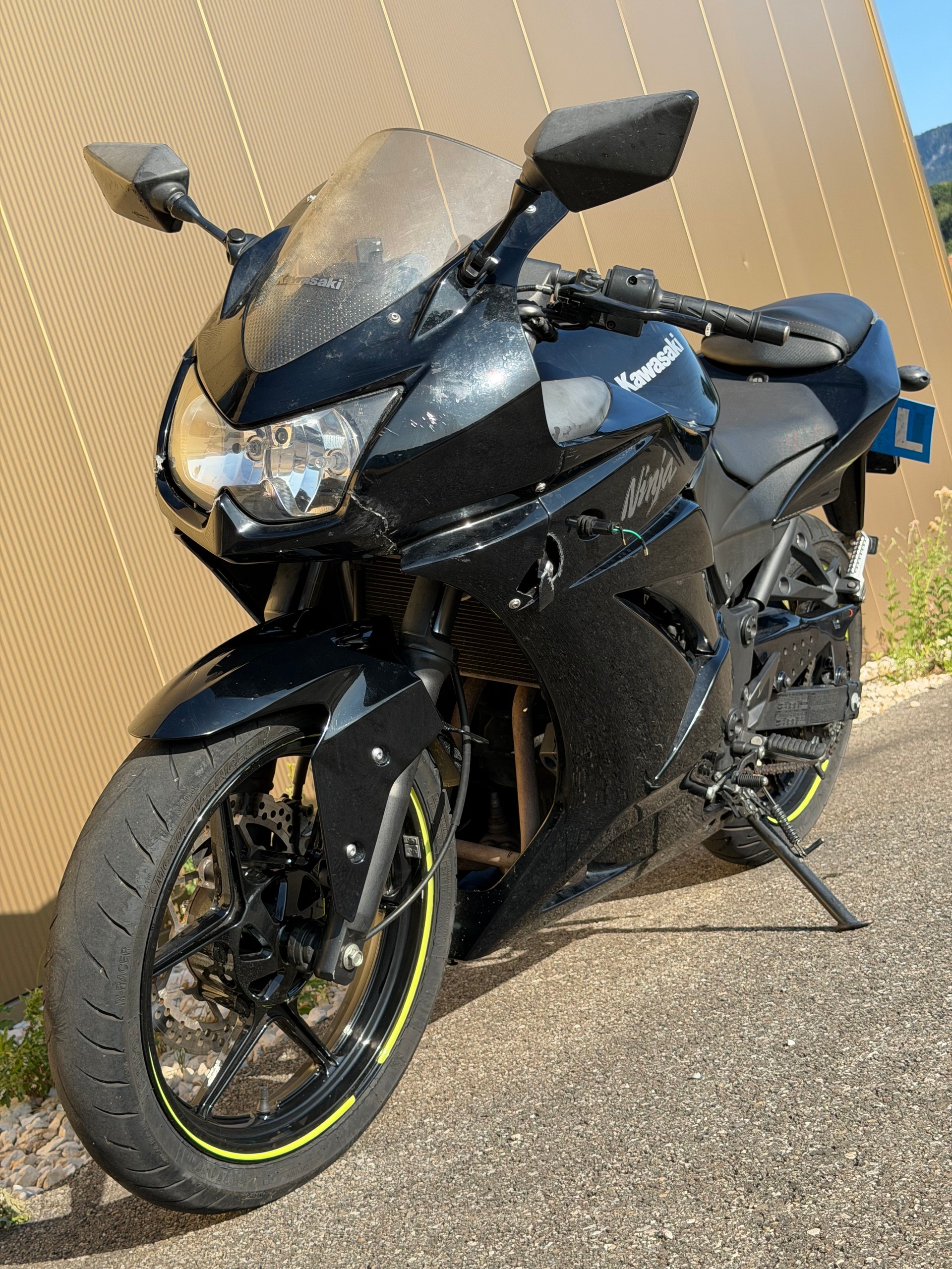 KAWASAKI Ninja 250 R-image-7