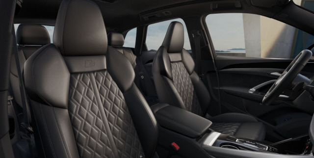 AUDI SQ5 TFSI quattro S-tronic-image-6