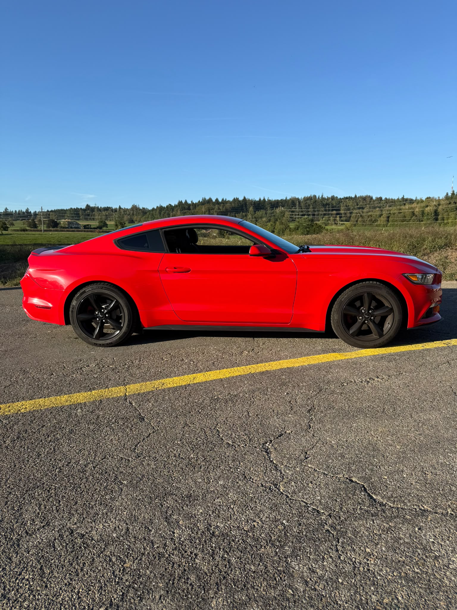 FORD MUSTANG-image-1