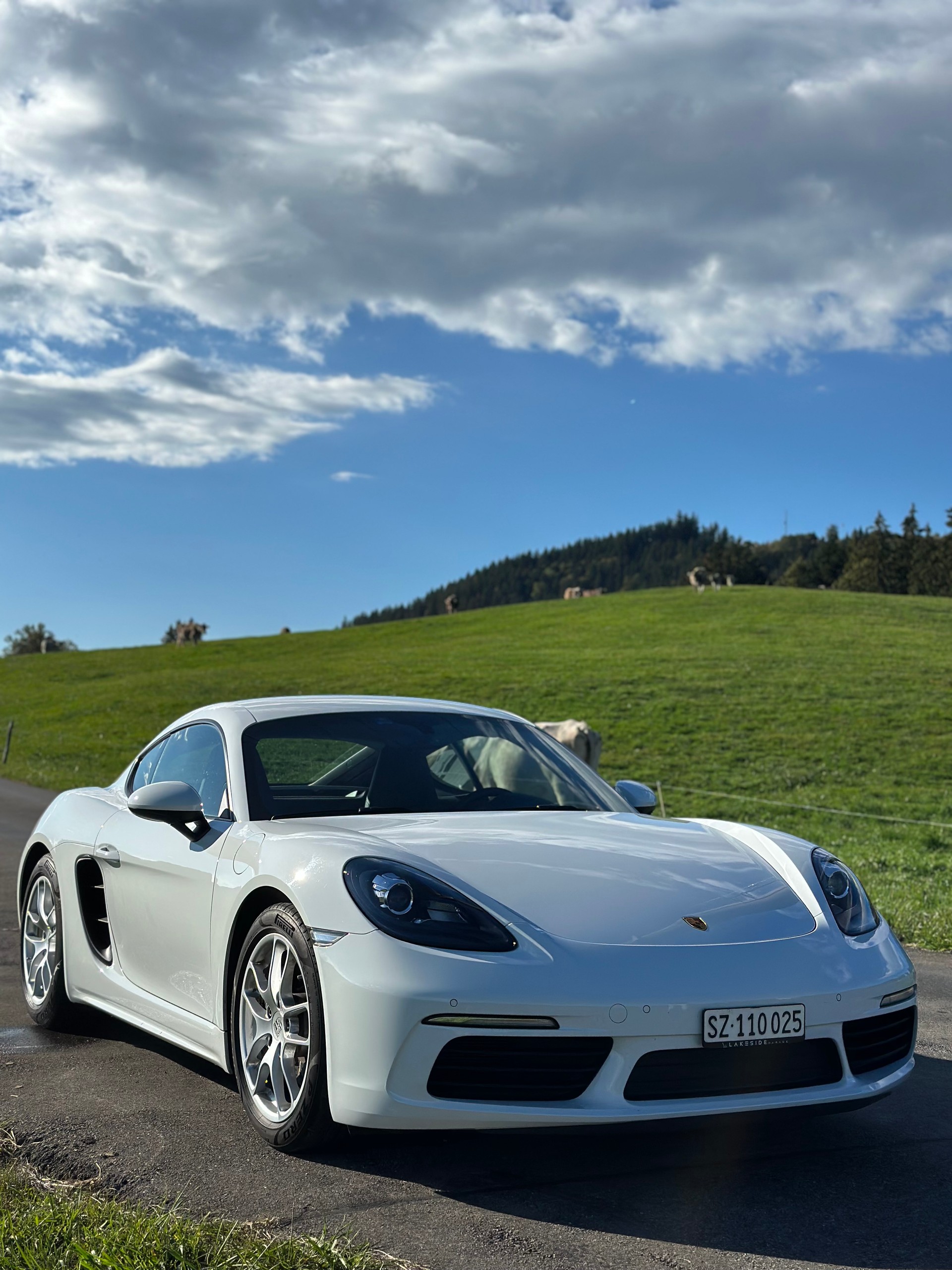 PORSCHE 2.0 T PDK-image-0