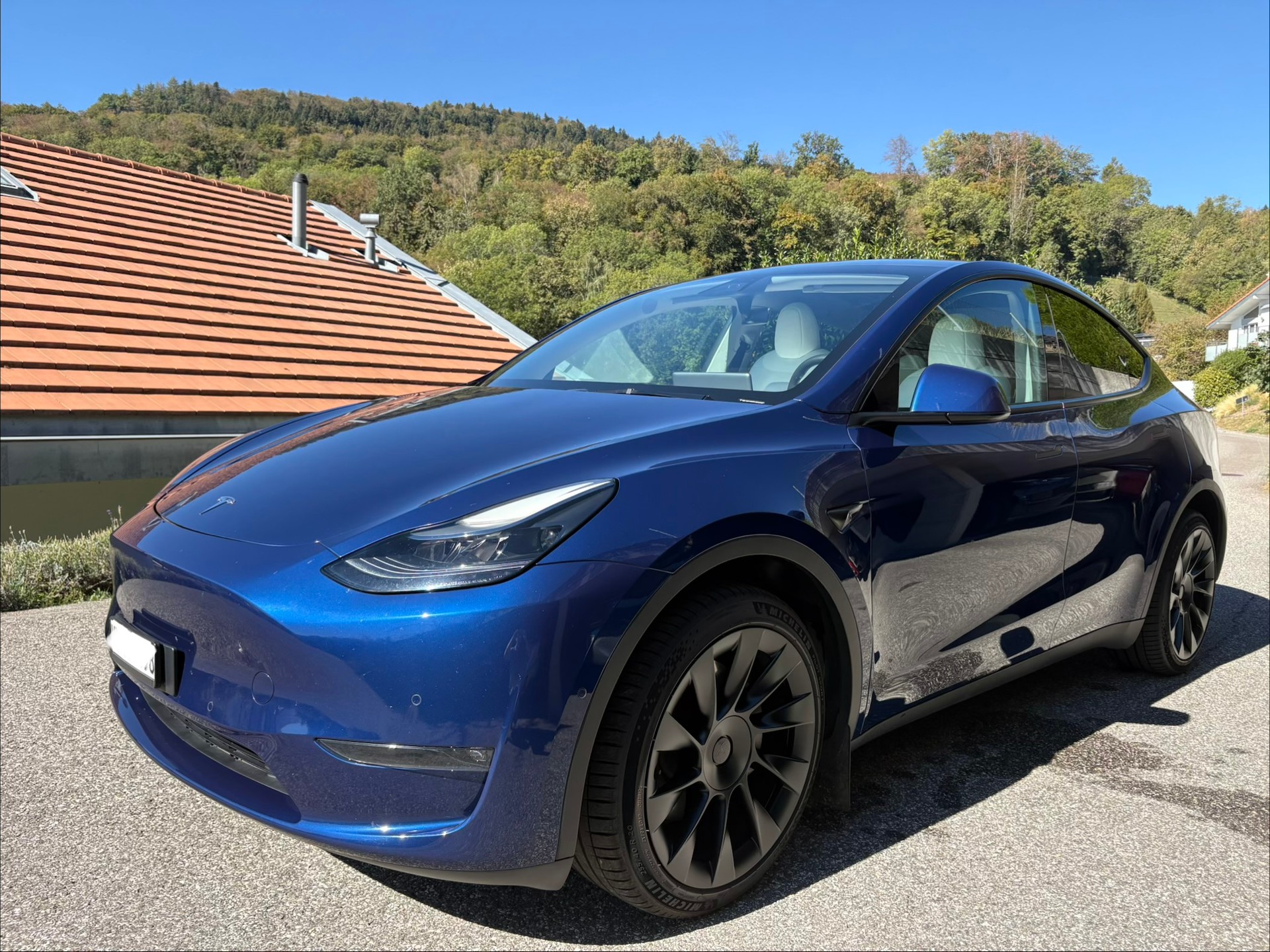 TESLA Long Range D-image-0