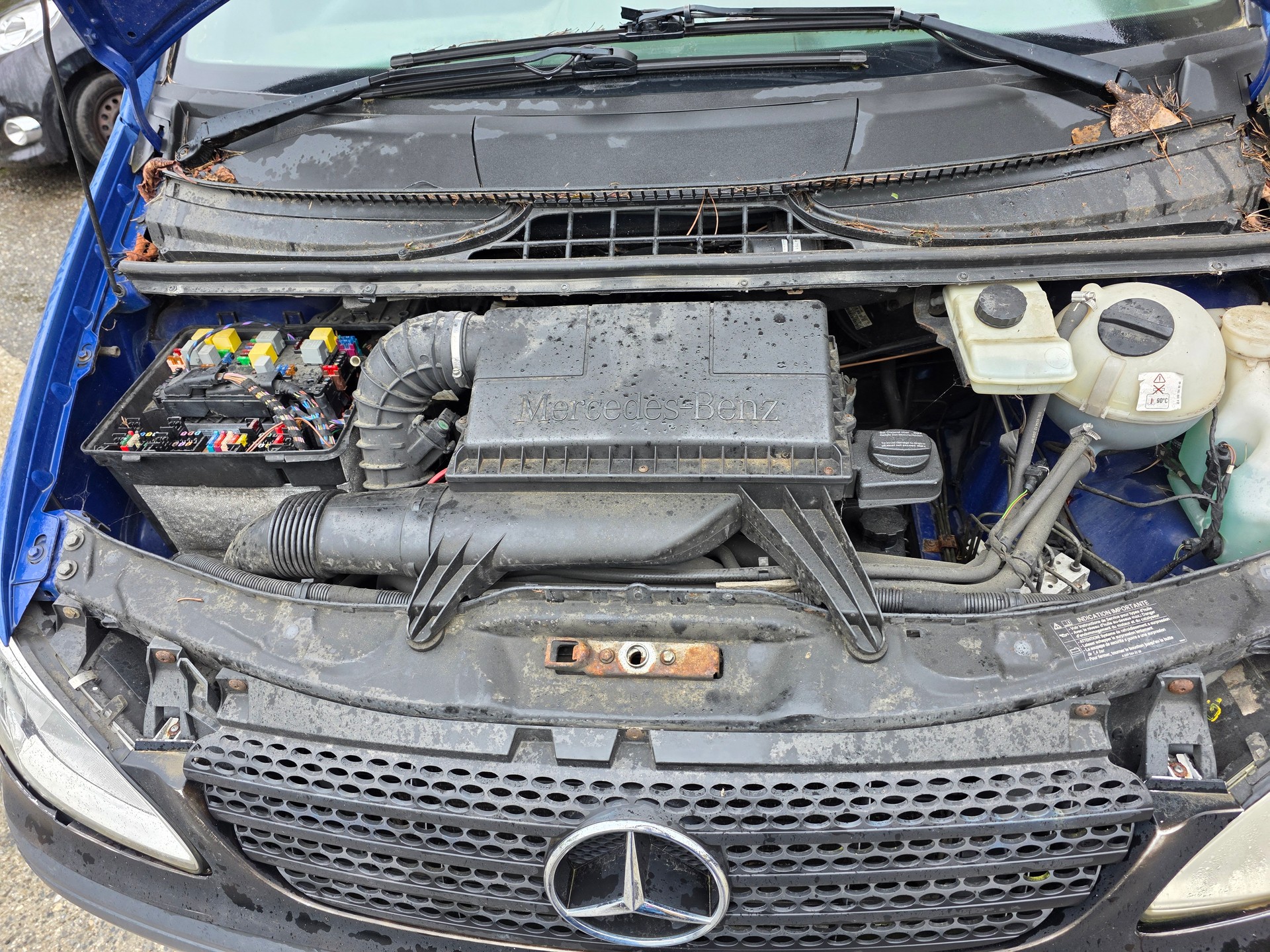 MERCEDES-BENZ 109 cdi-image-11