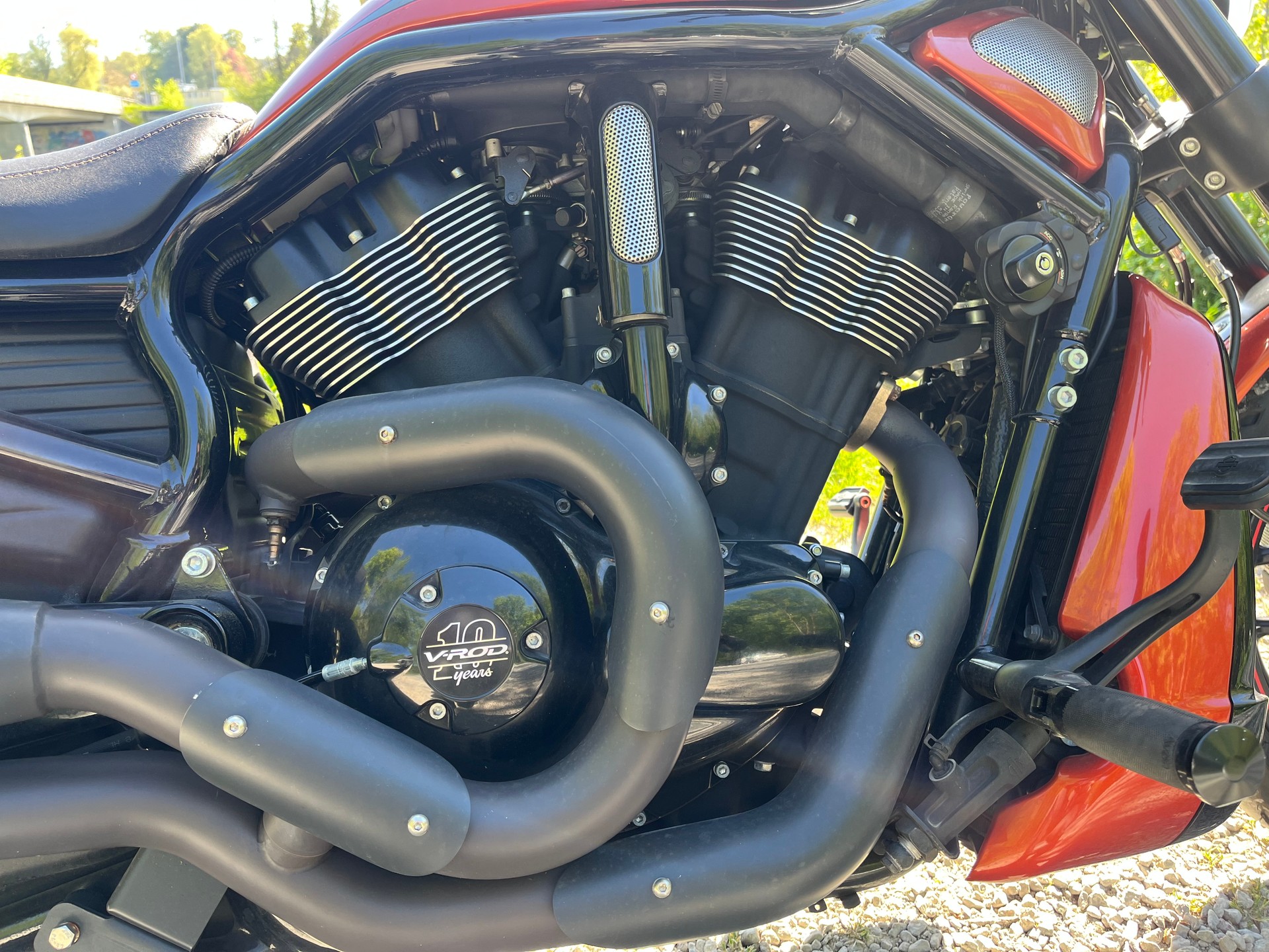 HARLEY-DAVIDSON VRSCDX Night Rod Special ABS-image-6
