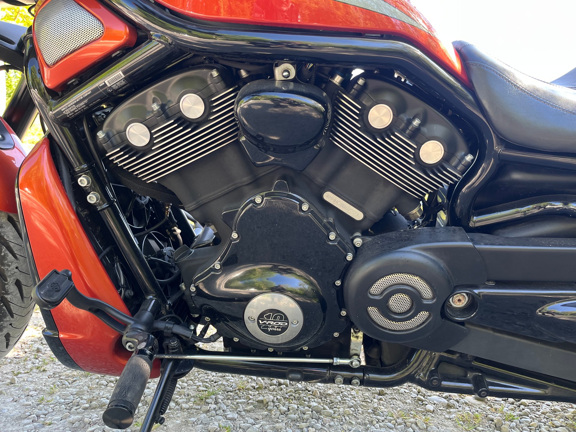 HARLEY-DAVIDSON VRSCDX Night Rod Special ABS-image-7