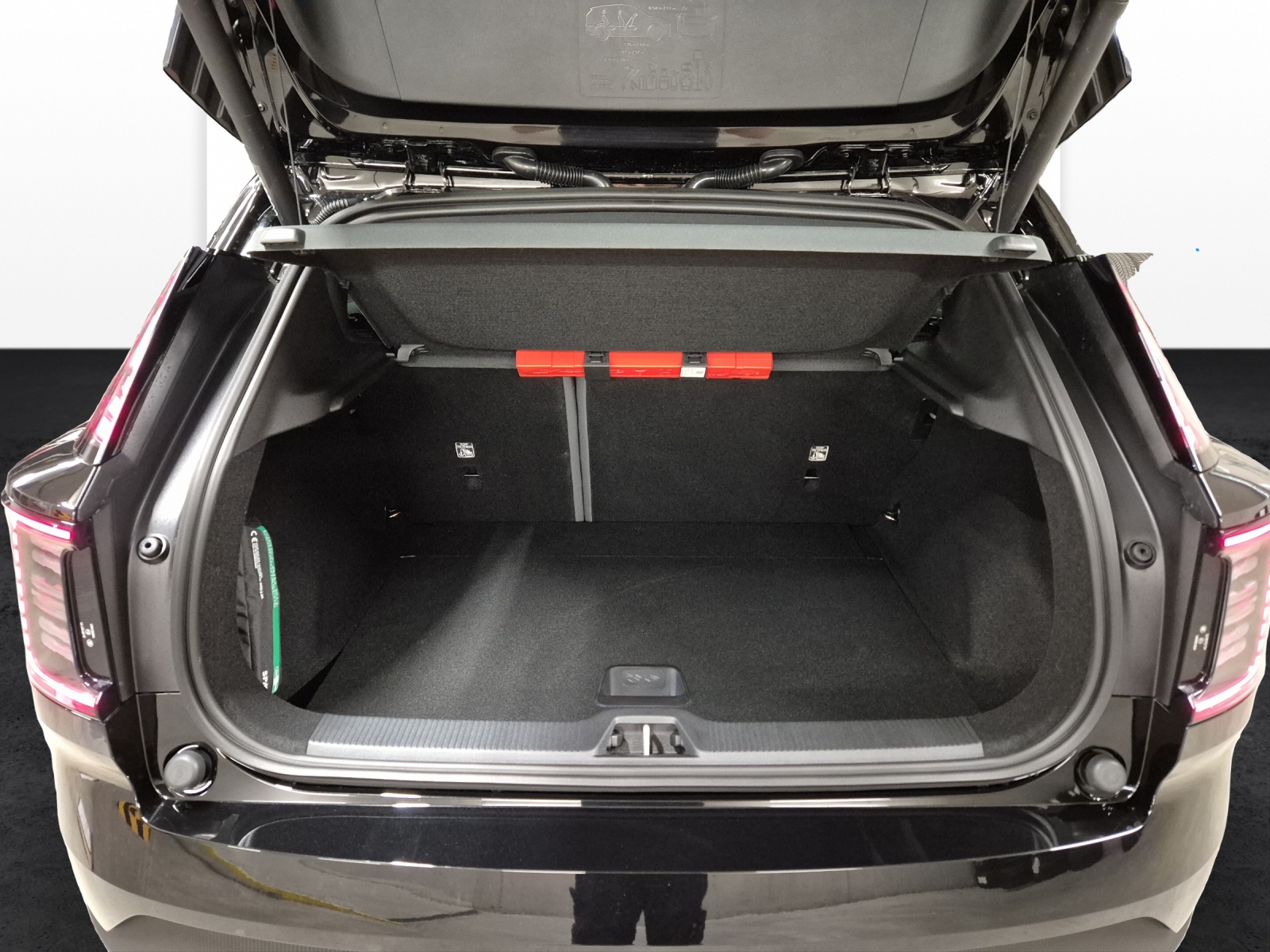 VOLVO EX30 E60 Plus Swiss Black Edition-image-18