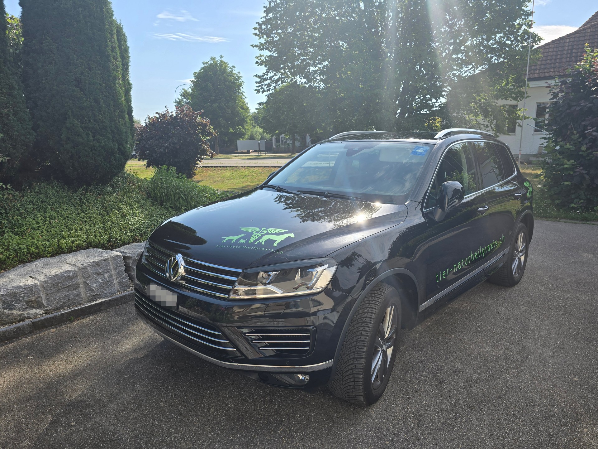 VW 3.0 V6 TDI 262 BlueMT Peak-image-0