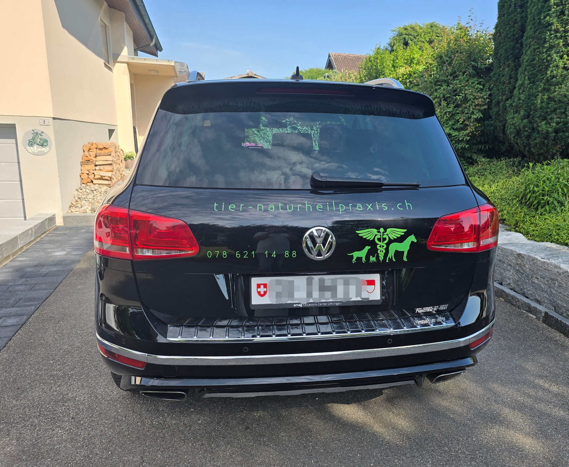 VW 3.0 V6 TDI 262 BlueMT Peak-image-2