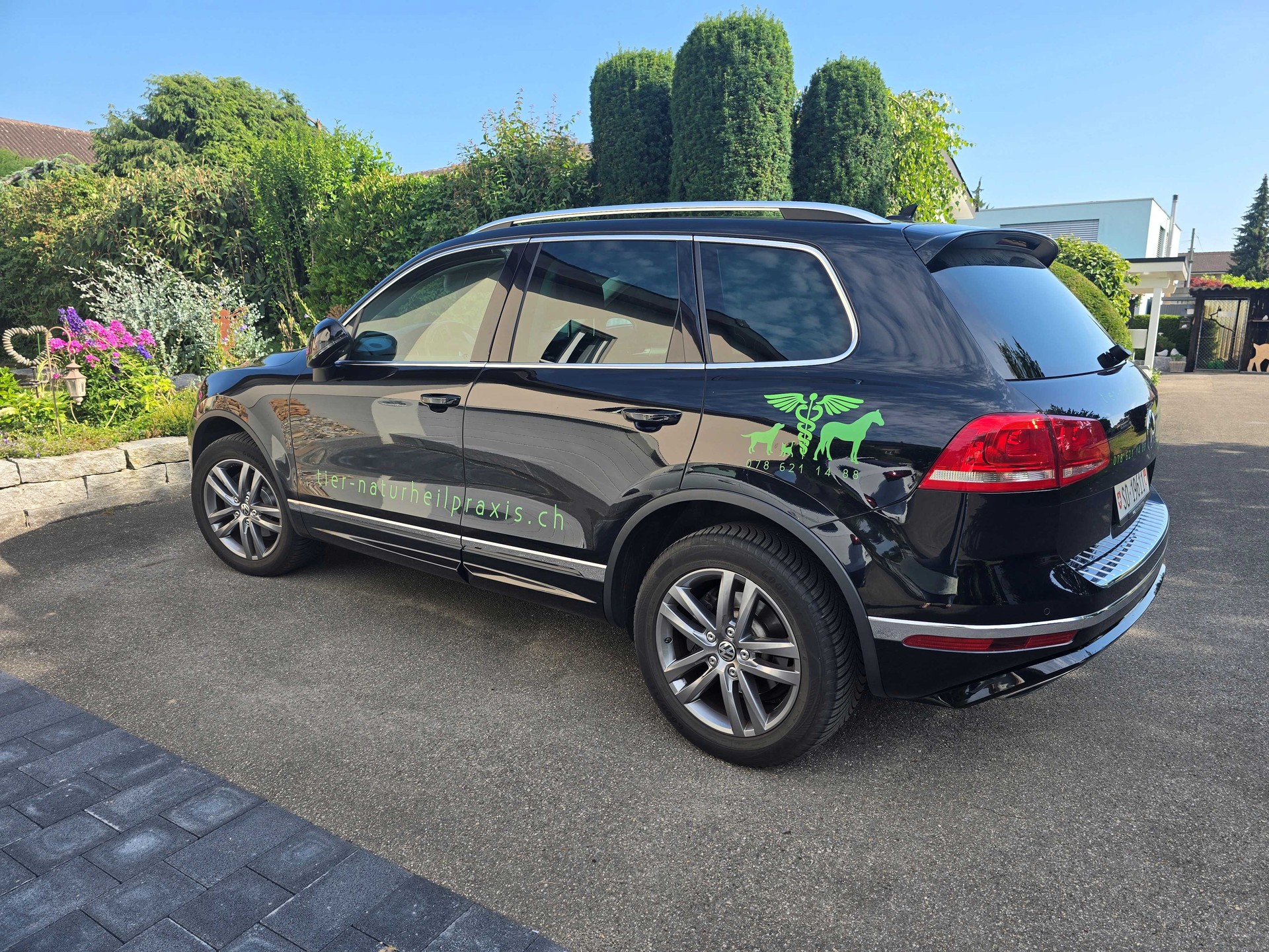 VW 3.0 V6 TDI 262 BlueMT Peak-image-1