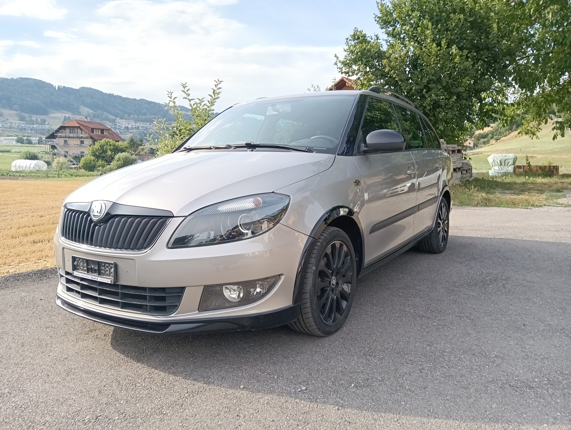 SKODA Monte Carlo