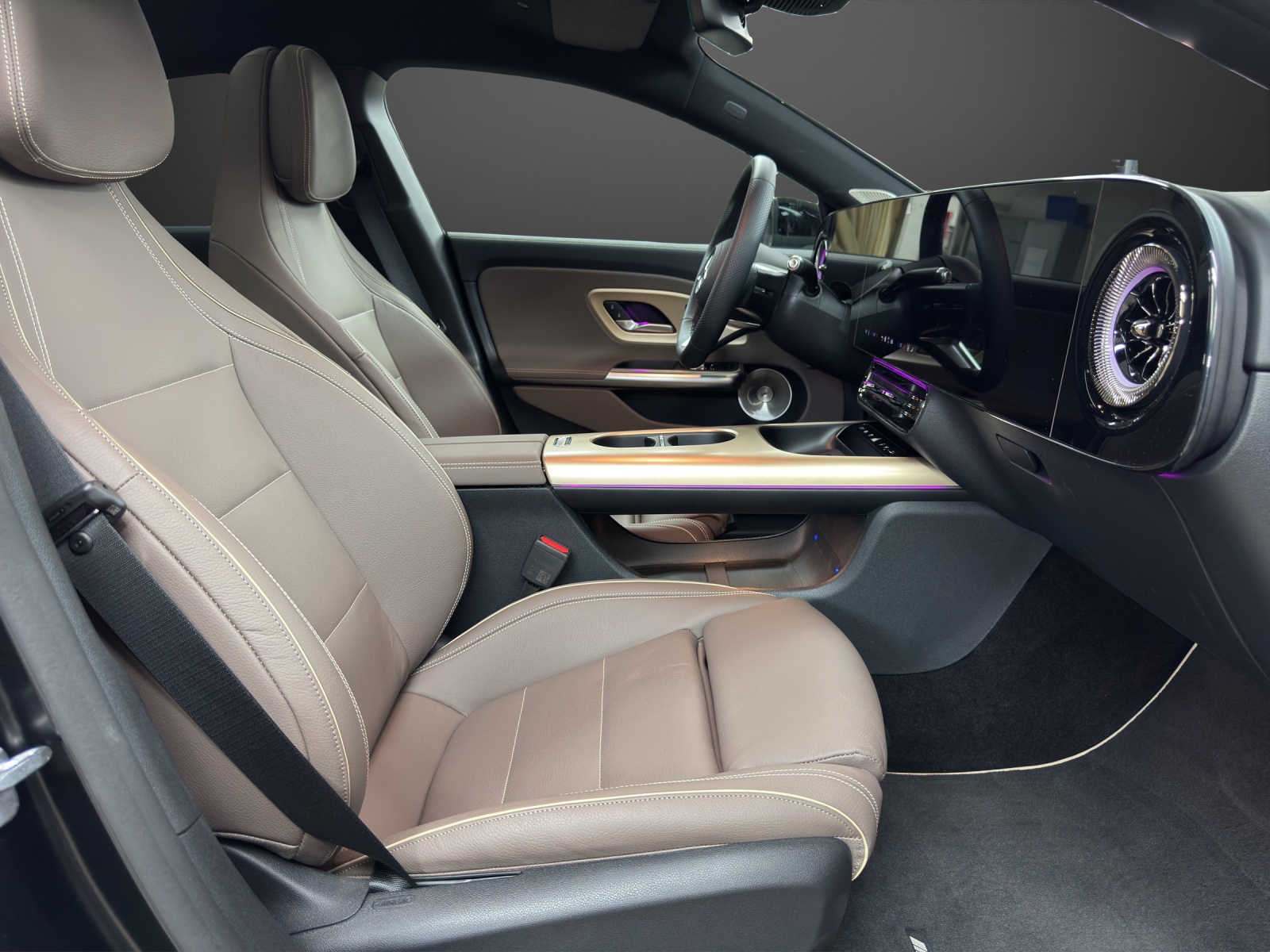 MERCEDES-BENZ CLA 350+ 85 kWh EQ-image-11