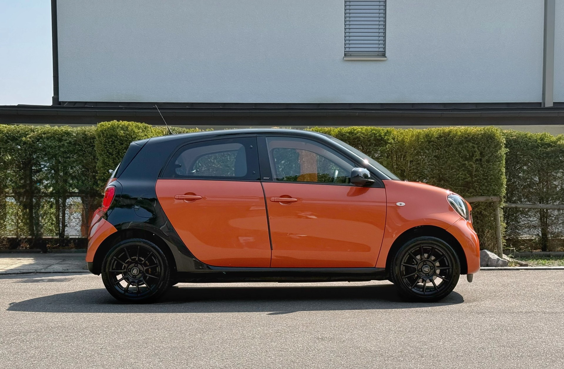 SMART forfour prime twinamic (Frisch Ab MFK)-image-2