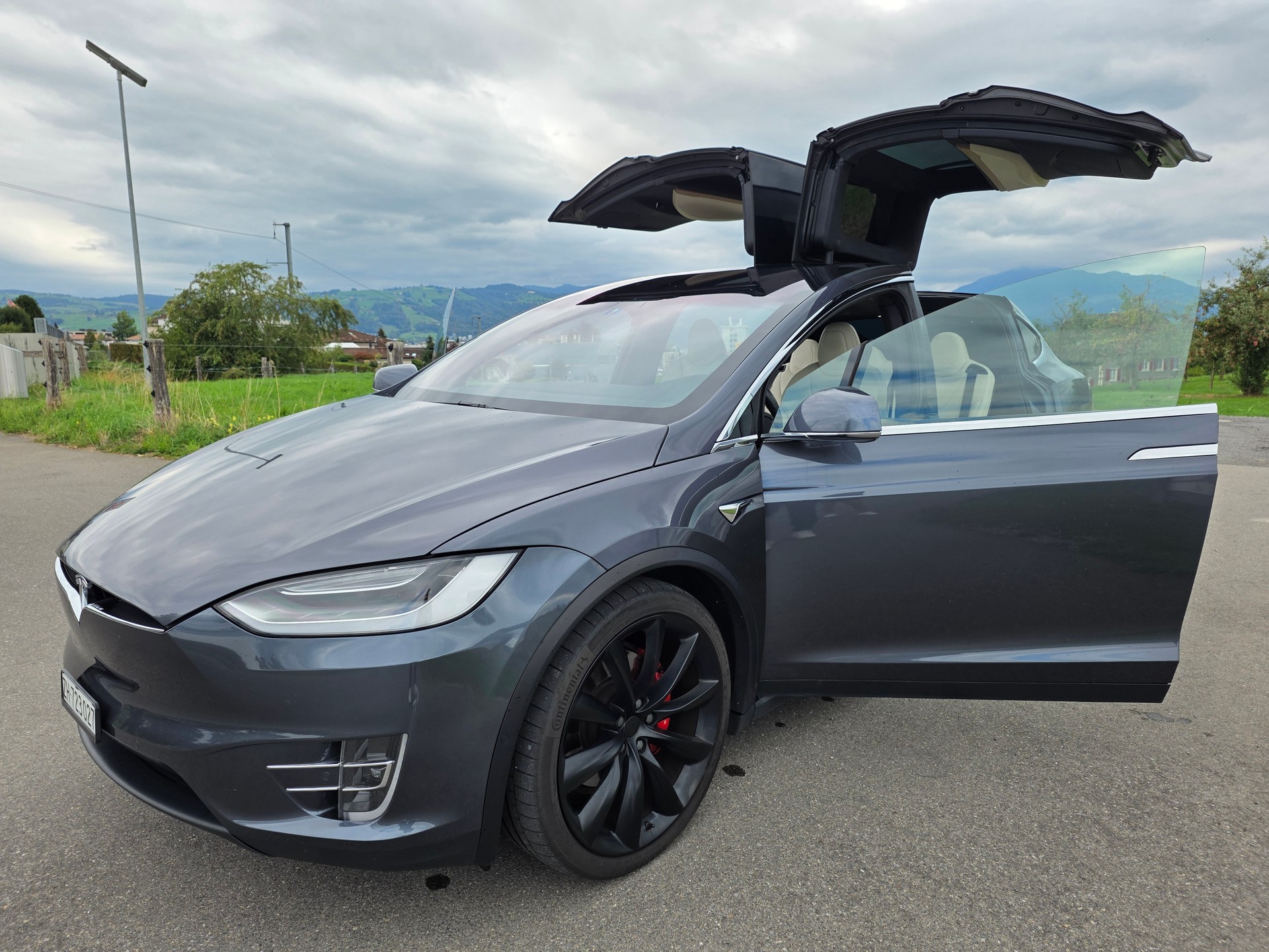 TESLA Performance-image-1