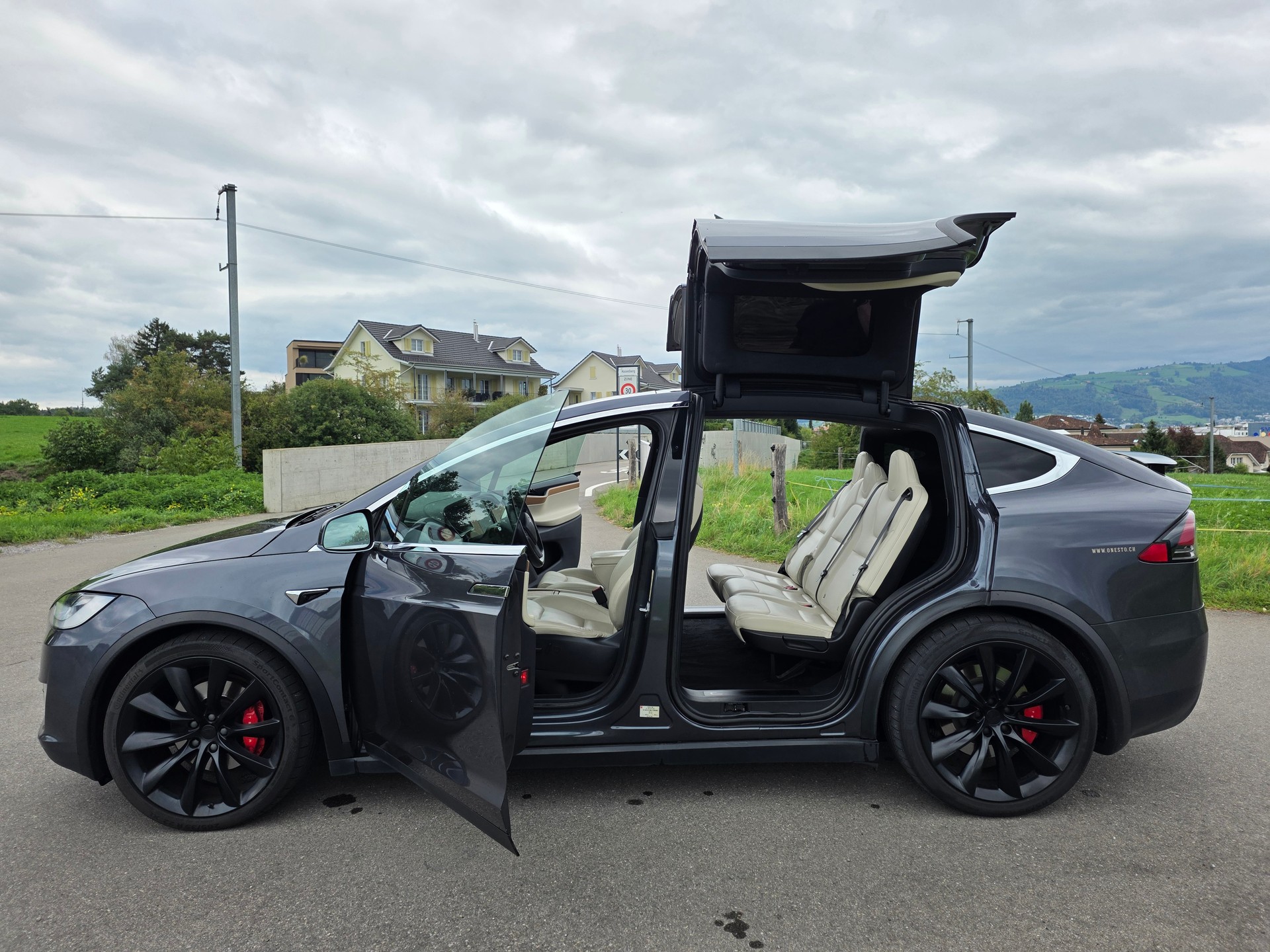 TESLA Performance-image-0