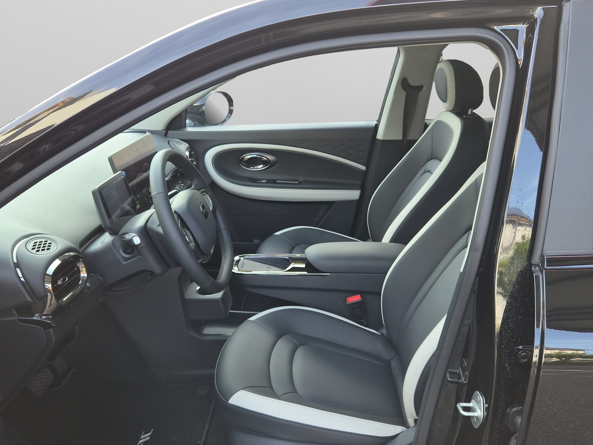 JAC E30X Electric-image-10