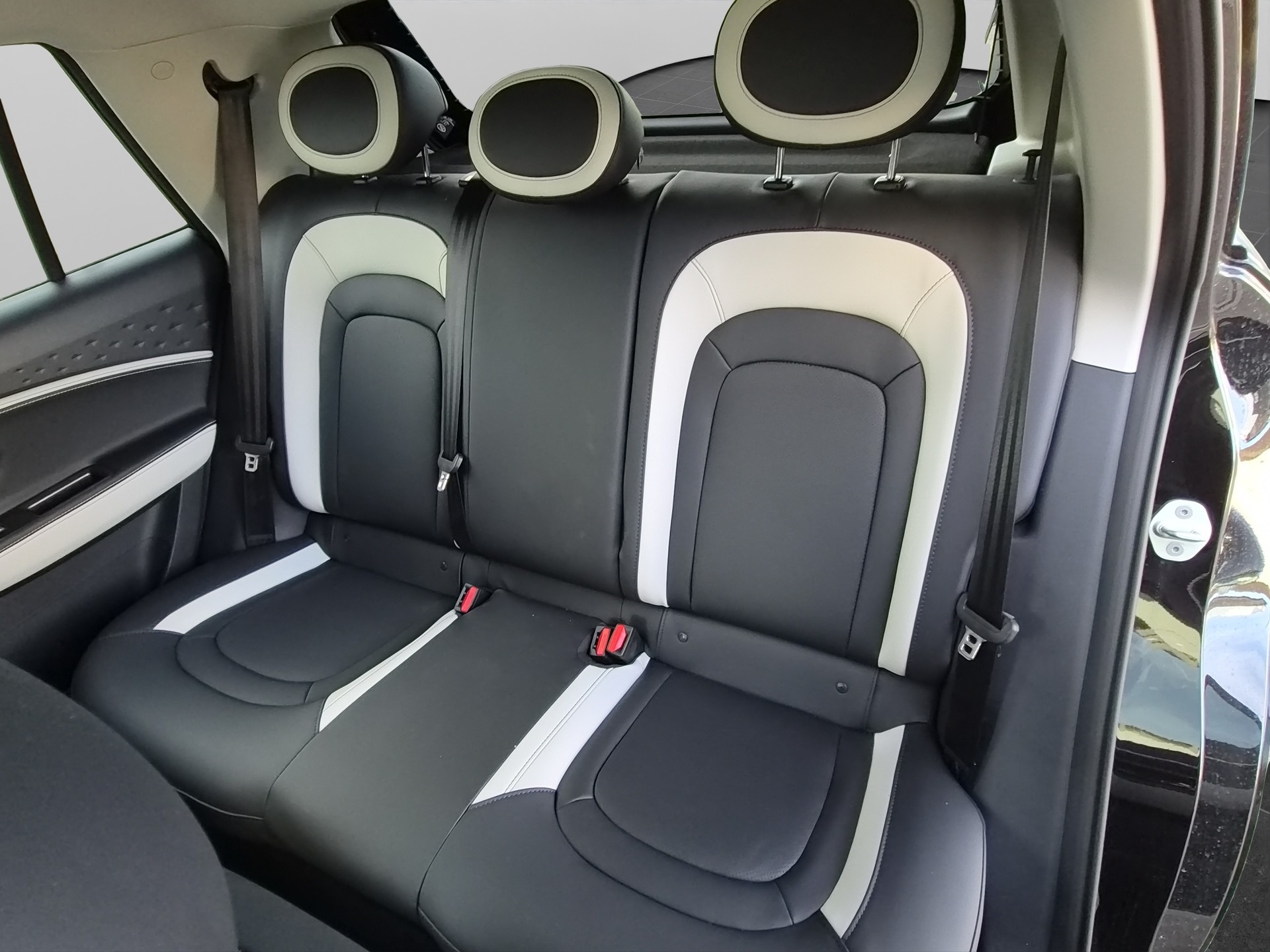 JAC E30X Electric-image-12