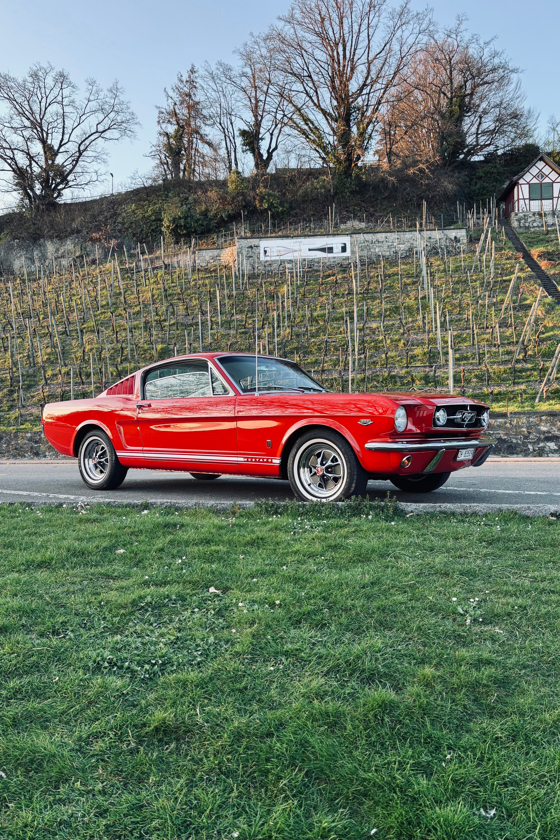 FORD MUSTANG K-Code Fastback GT-image-0