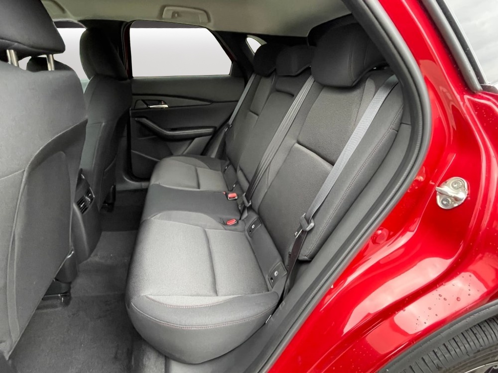 MAZDA CX-30 SKYACTIV-X 186 M Hybrid Homura FWD AT-image-6