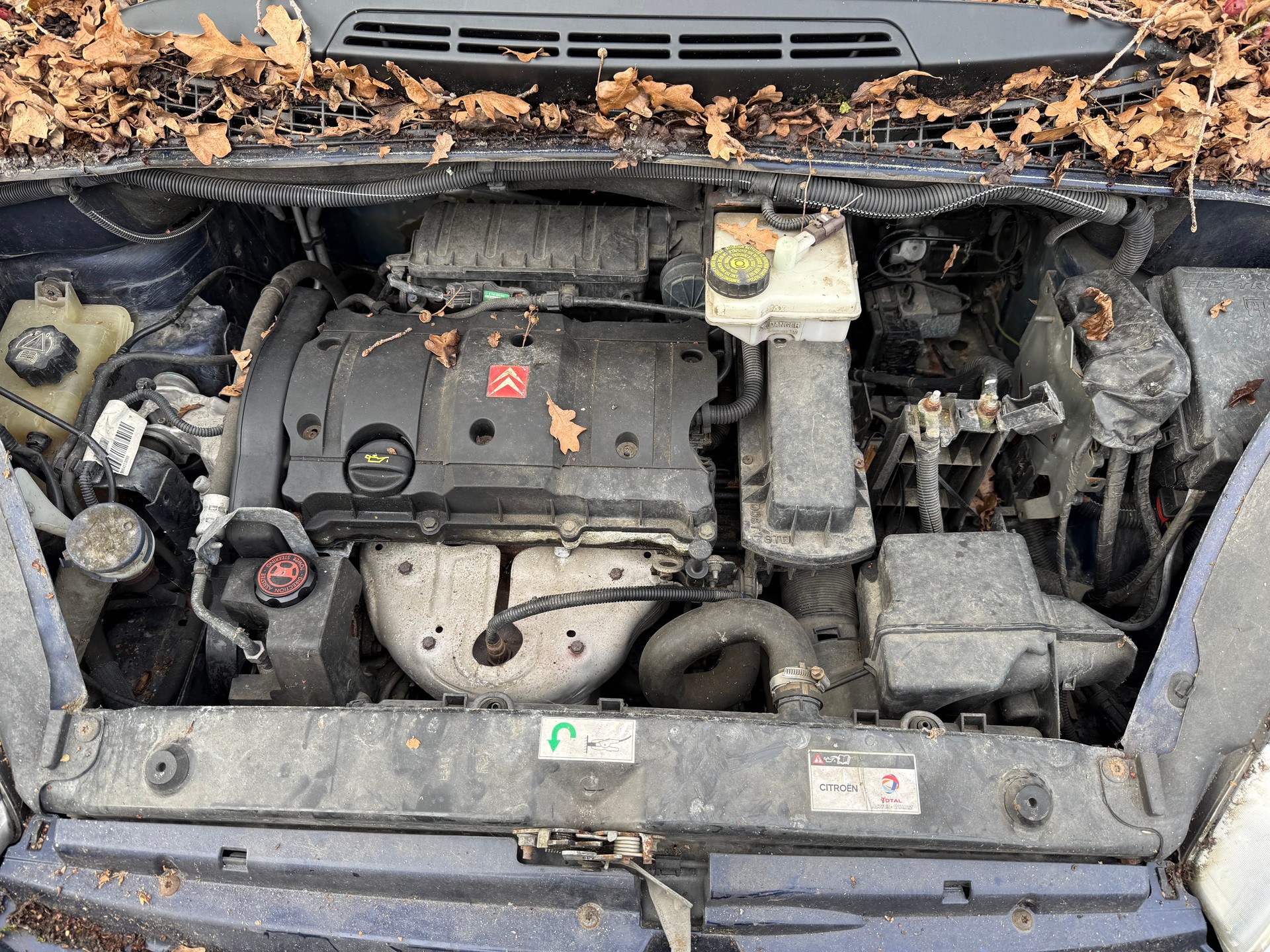 CITROEN Xsara Picasso 1.6i 16V Exclusive-image-5