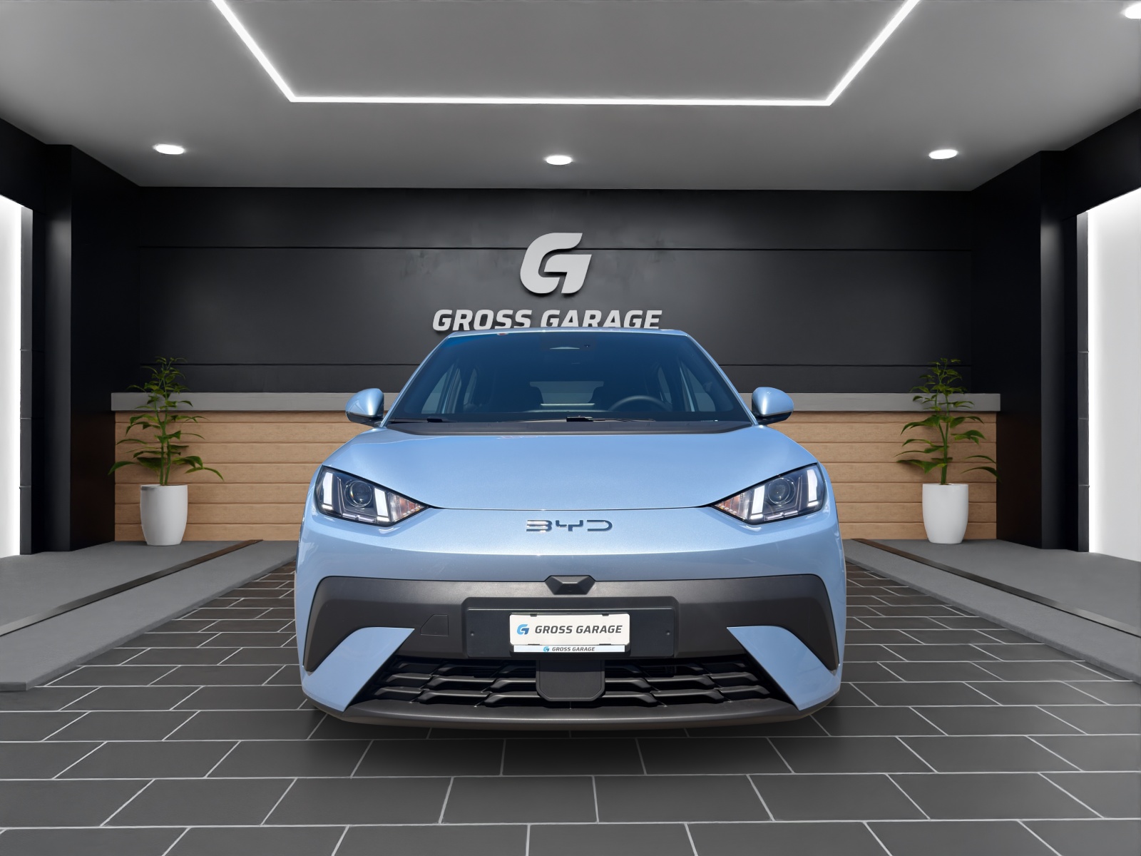 BYD Dolphin Surf Boost 43 kWh-showroom-element-1