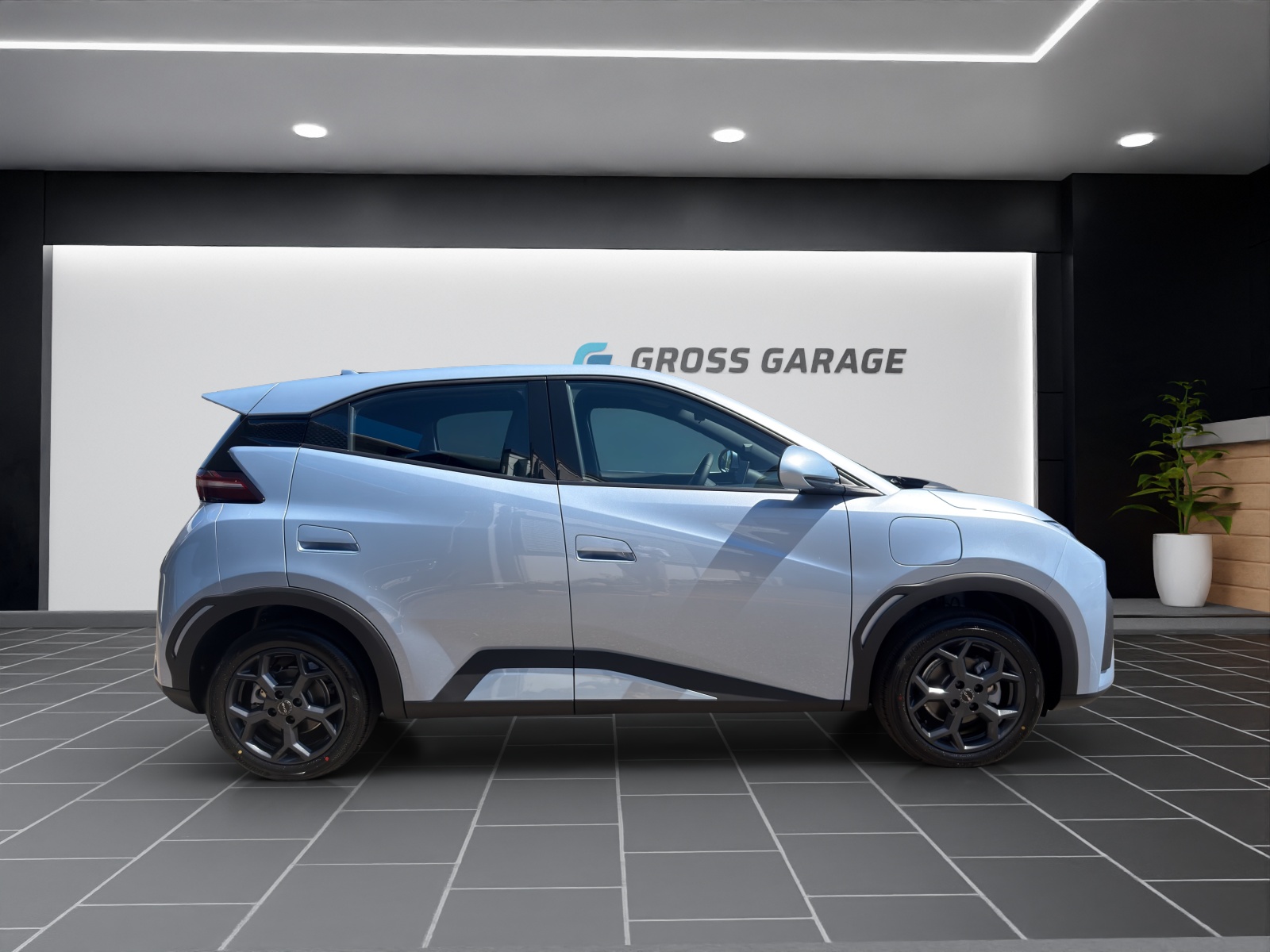 BYD Dolphin Surf Boost 43 kWh-showroom-element-2