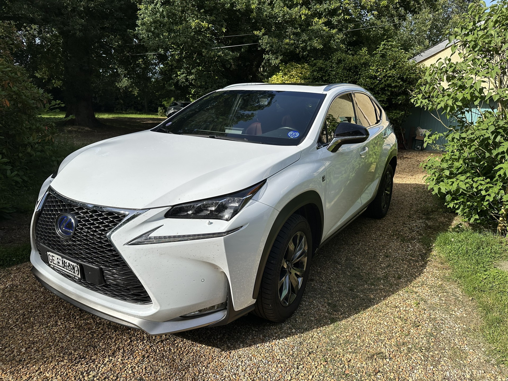 LEXUS 300h F-Sport-image-0