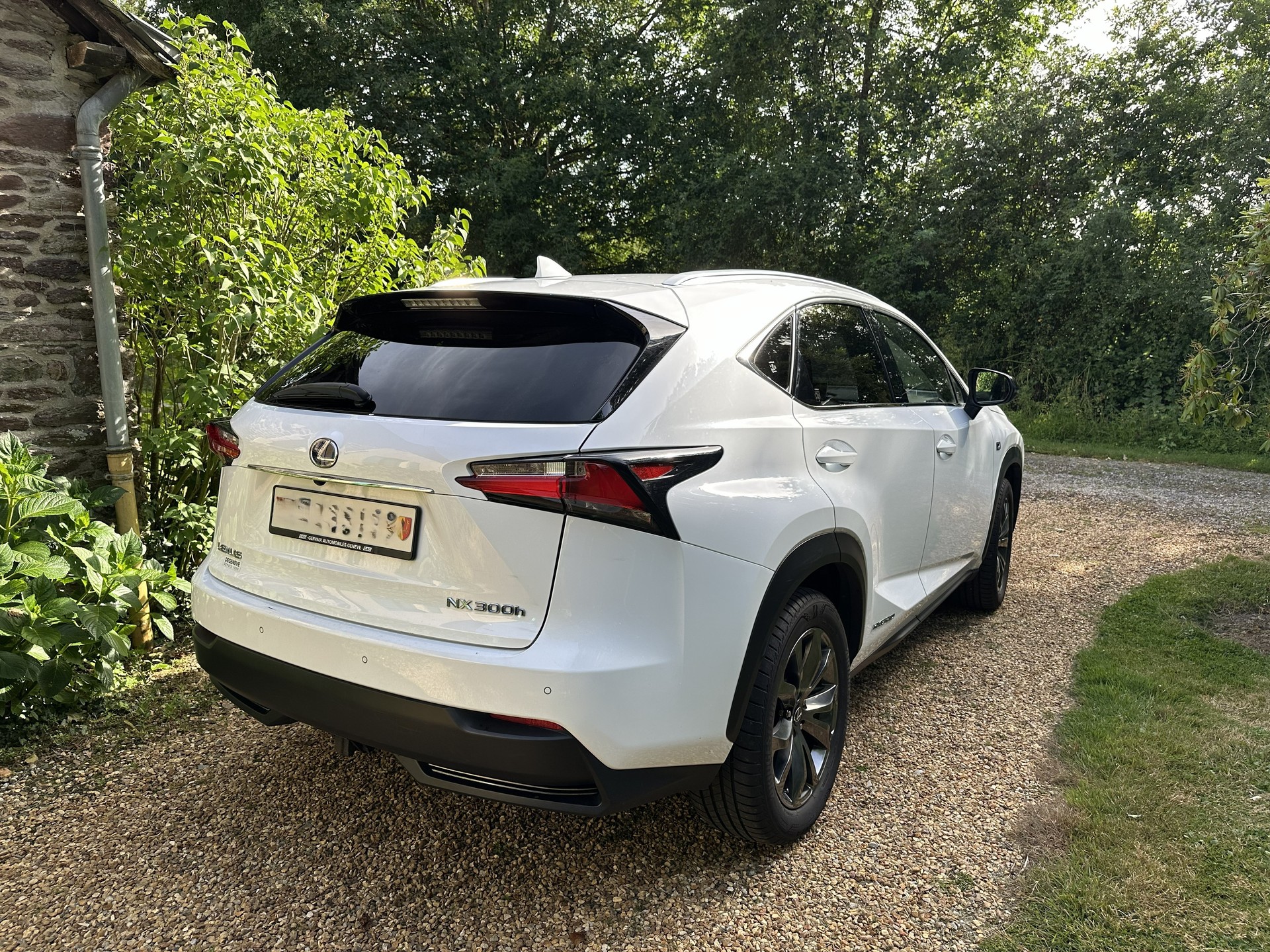 LEXUS 300h F-Sport-image-1