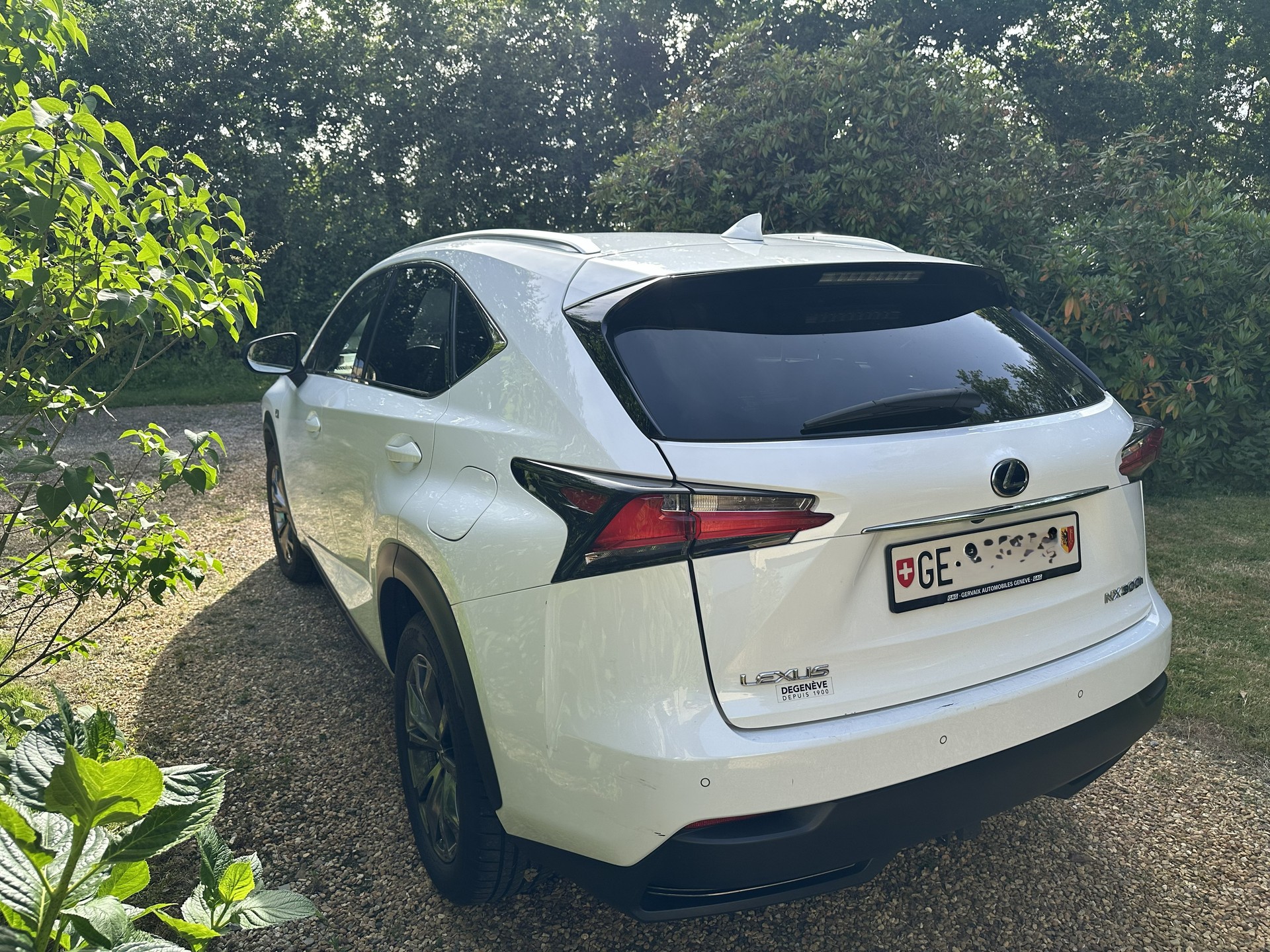 LEXUS 300h F-Sport-image-3