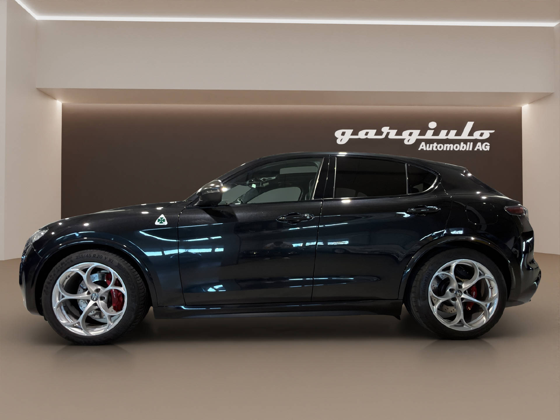ALFA ROMEO Stelvio 2.9 V6 Biturbo Q4 Quadrifoglio-image-7