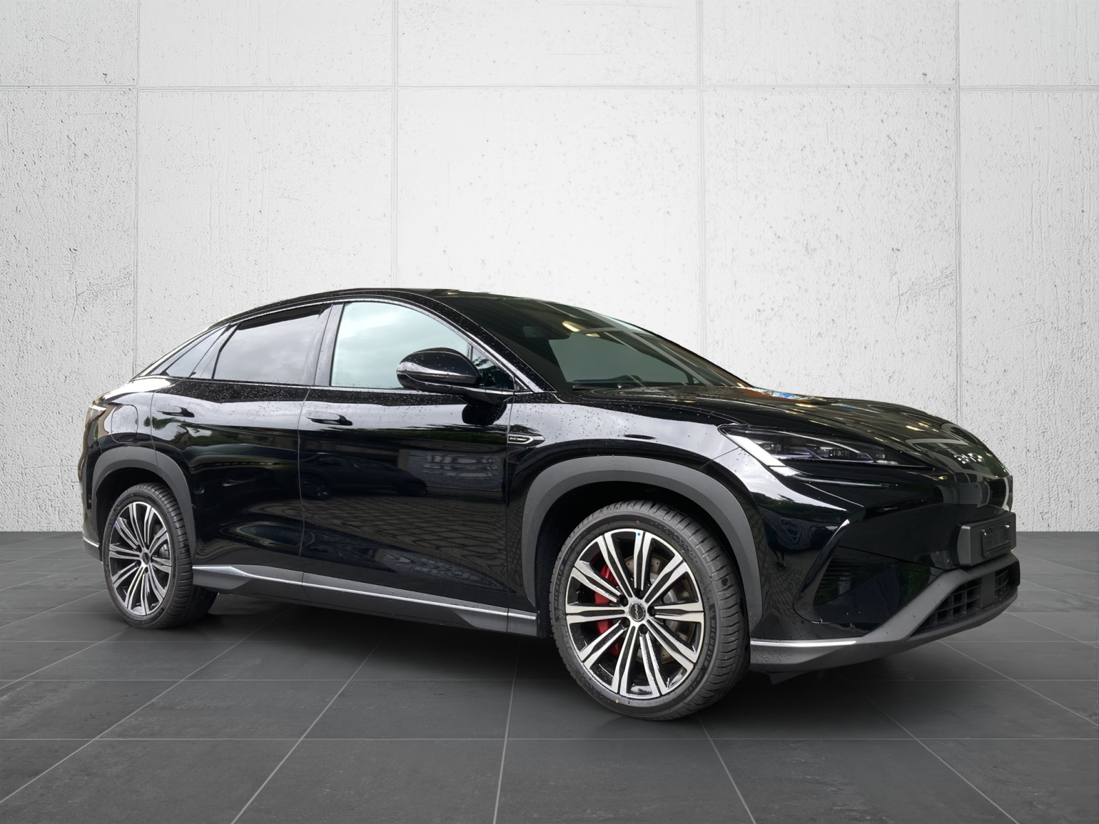 BYD Sealion 7 91,3 kWh Excellence AWD-image-6