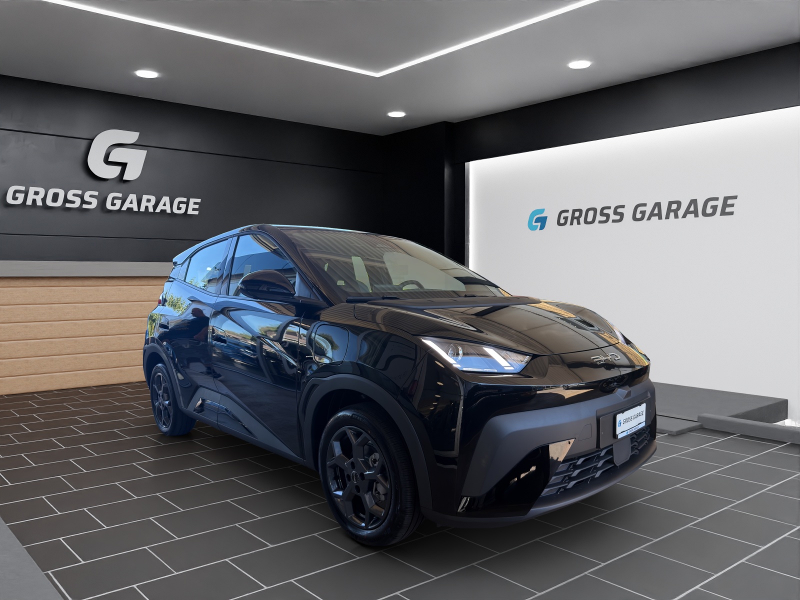 BYD Dolphin Surf Boost 43 kWh-image-0