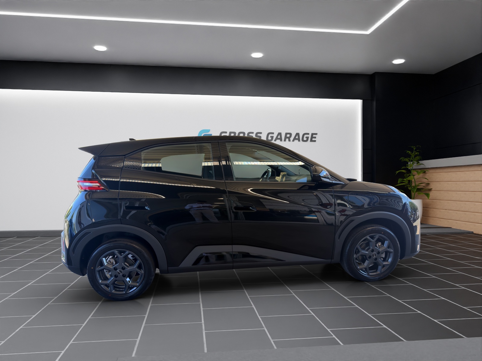 BYD Dolphin Surf Boost 43 kWh-image-2